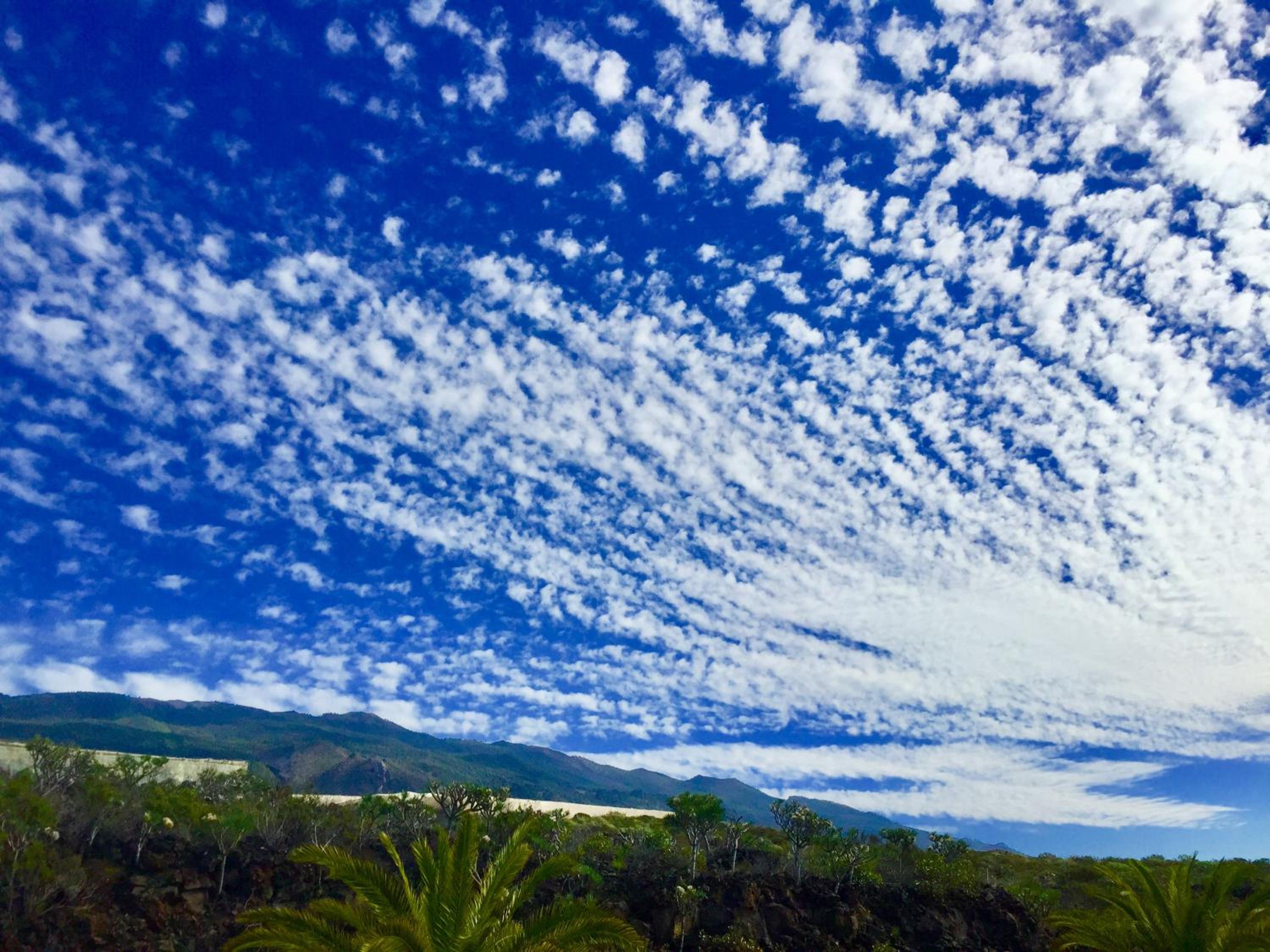 Beach la Palma