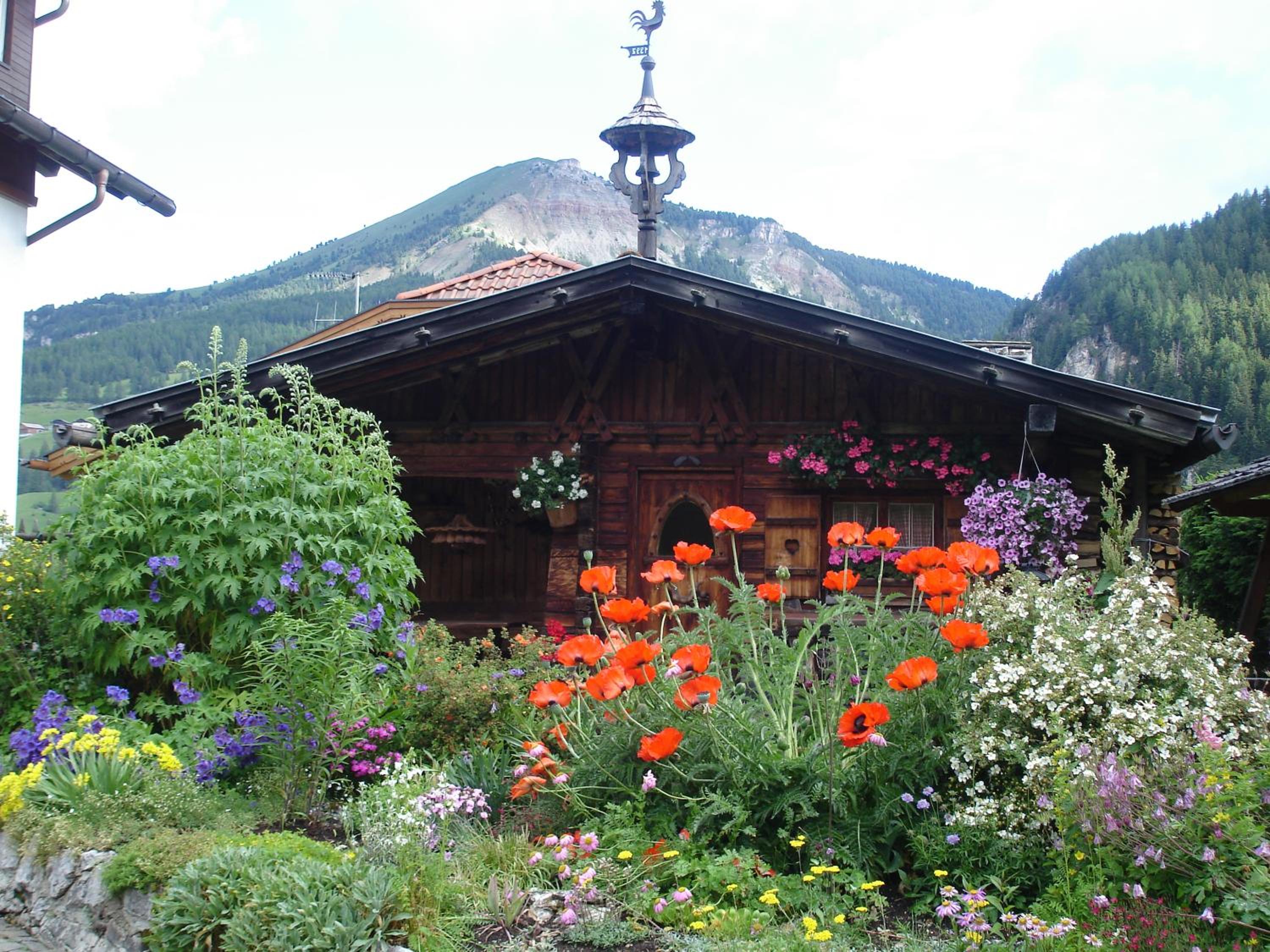 Photo 7