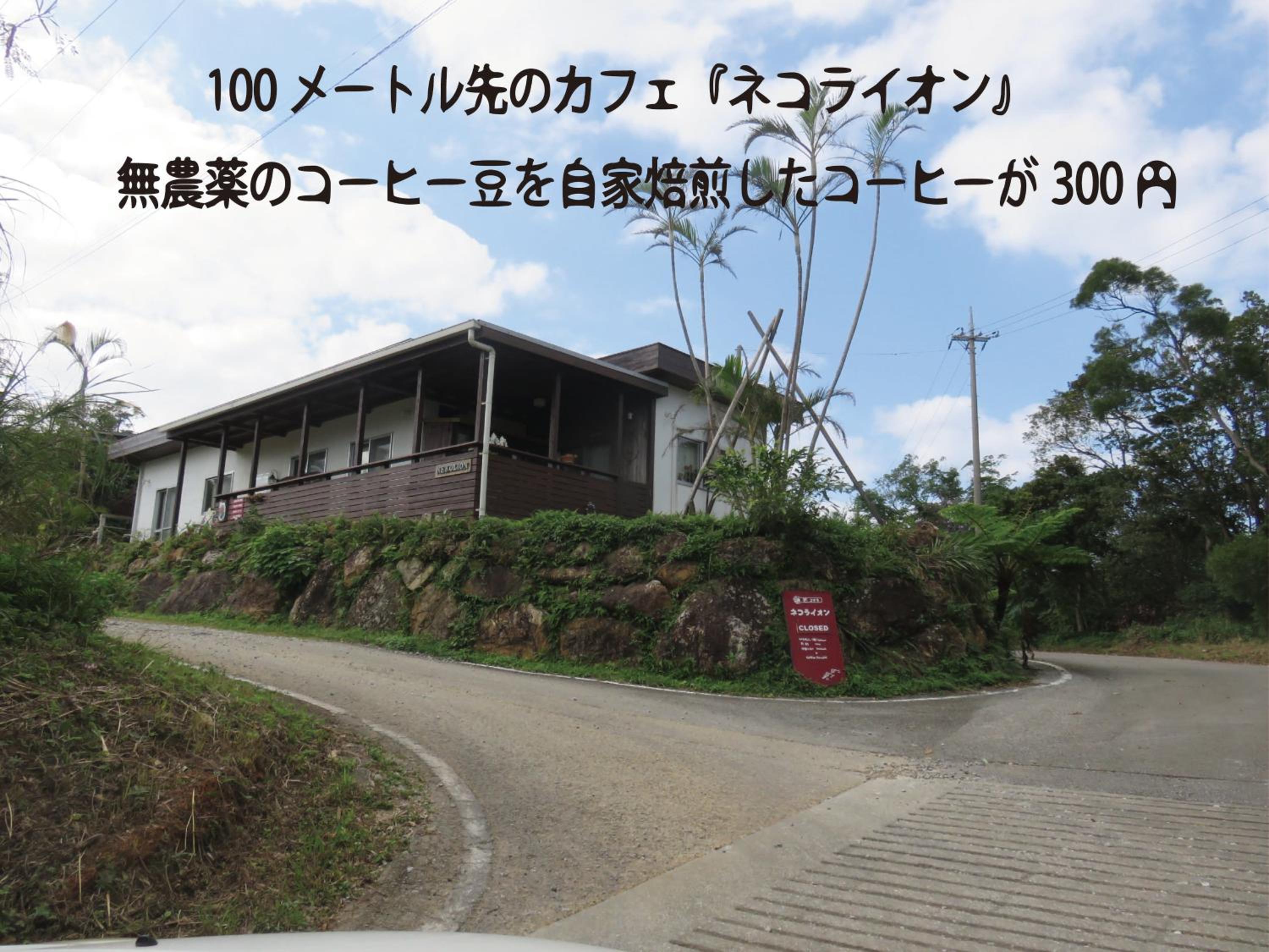 Photo 36
