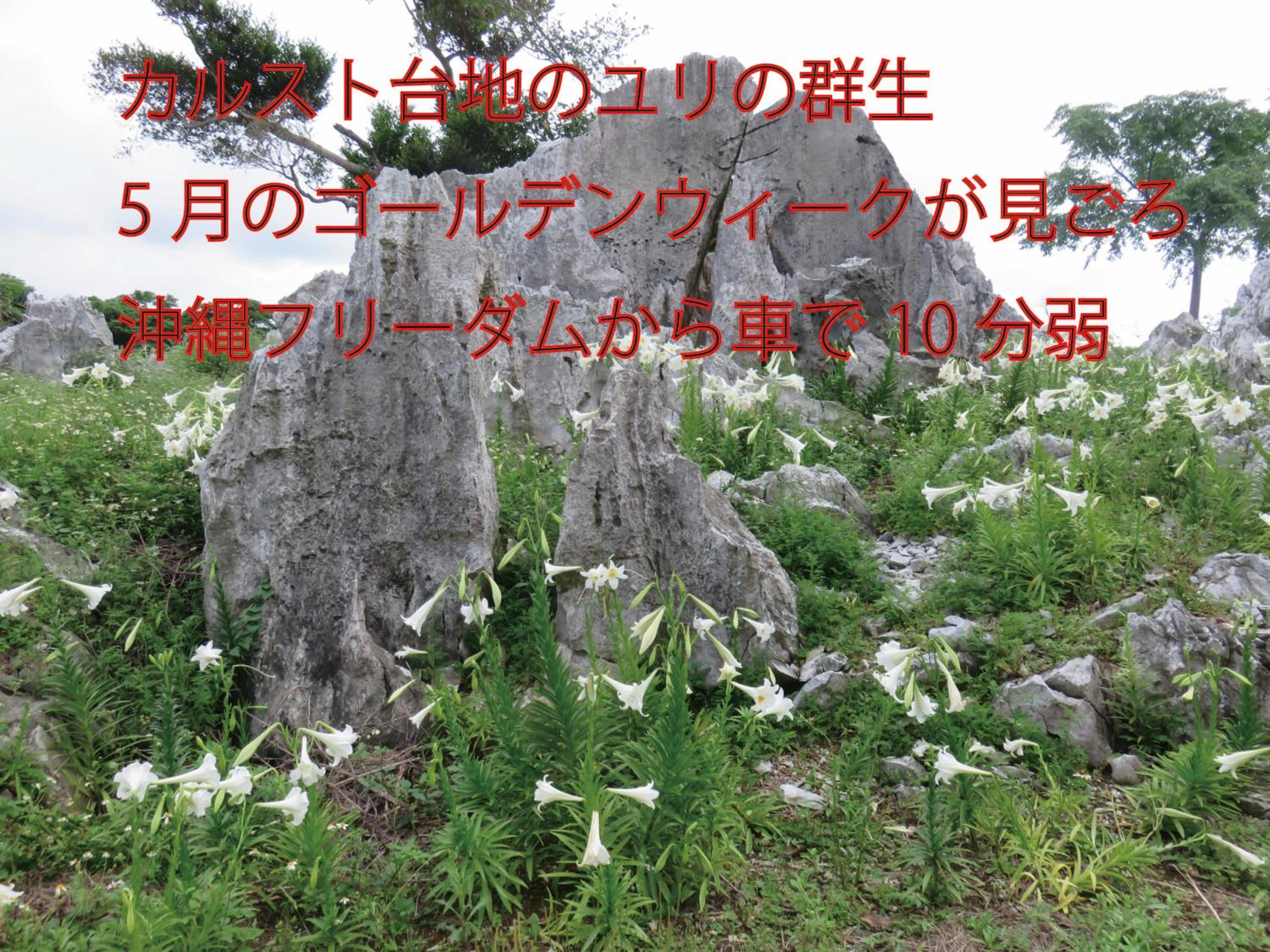 Photo 67