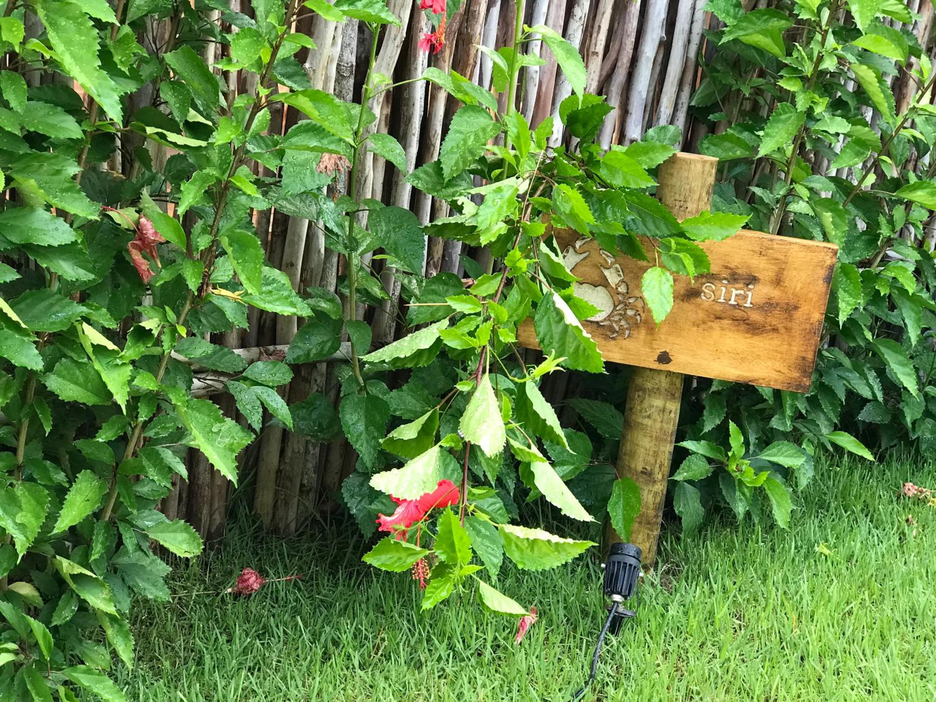 Photo 18