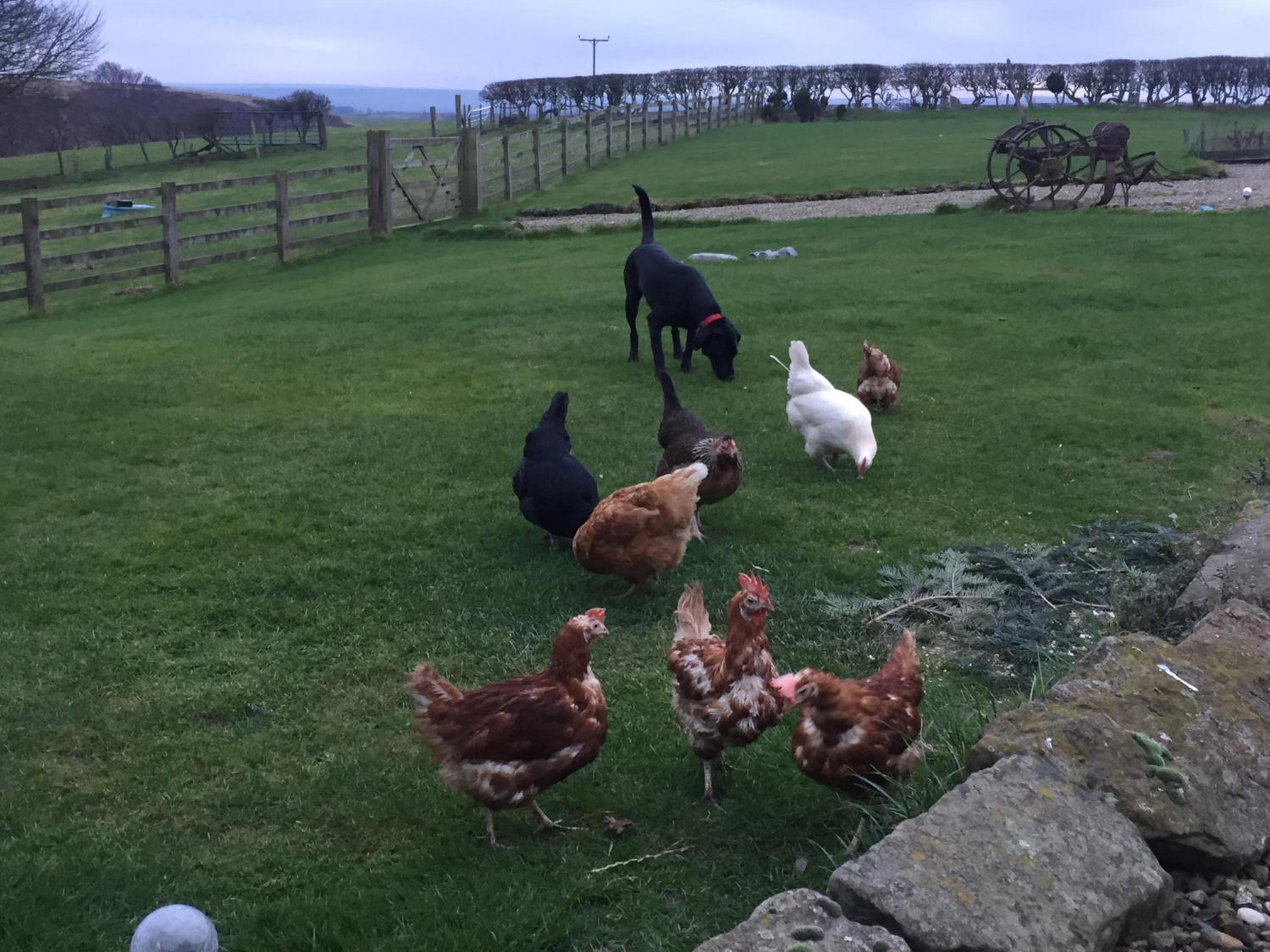 Folly Hall Farm