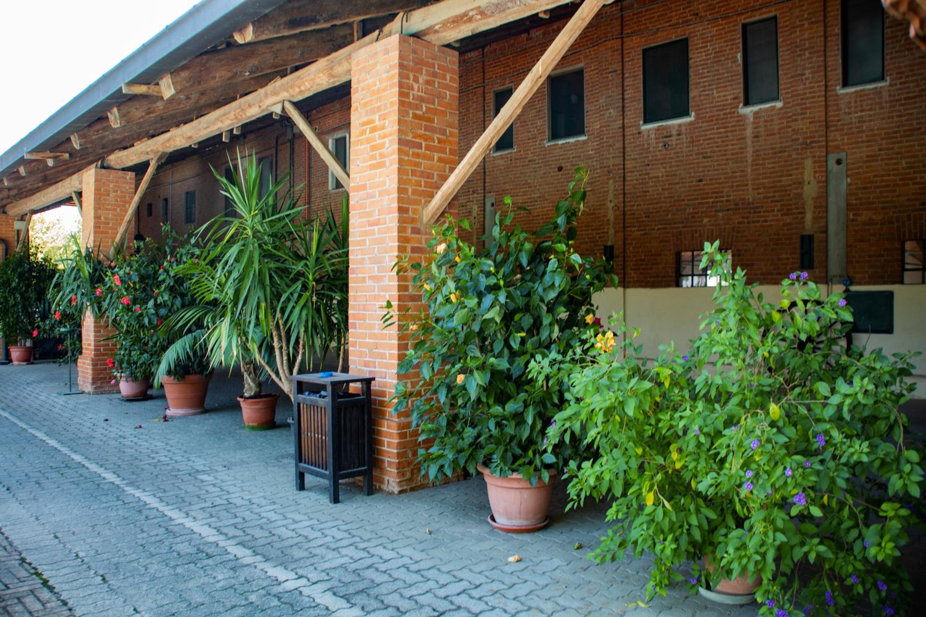 Agriturismo La Margherita view 5