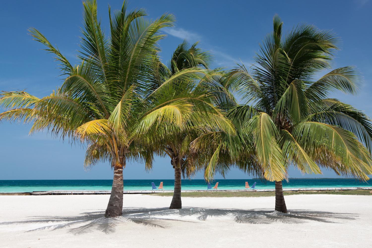 Belize Vacations - Royal Belize - Property Image 8