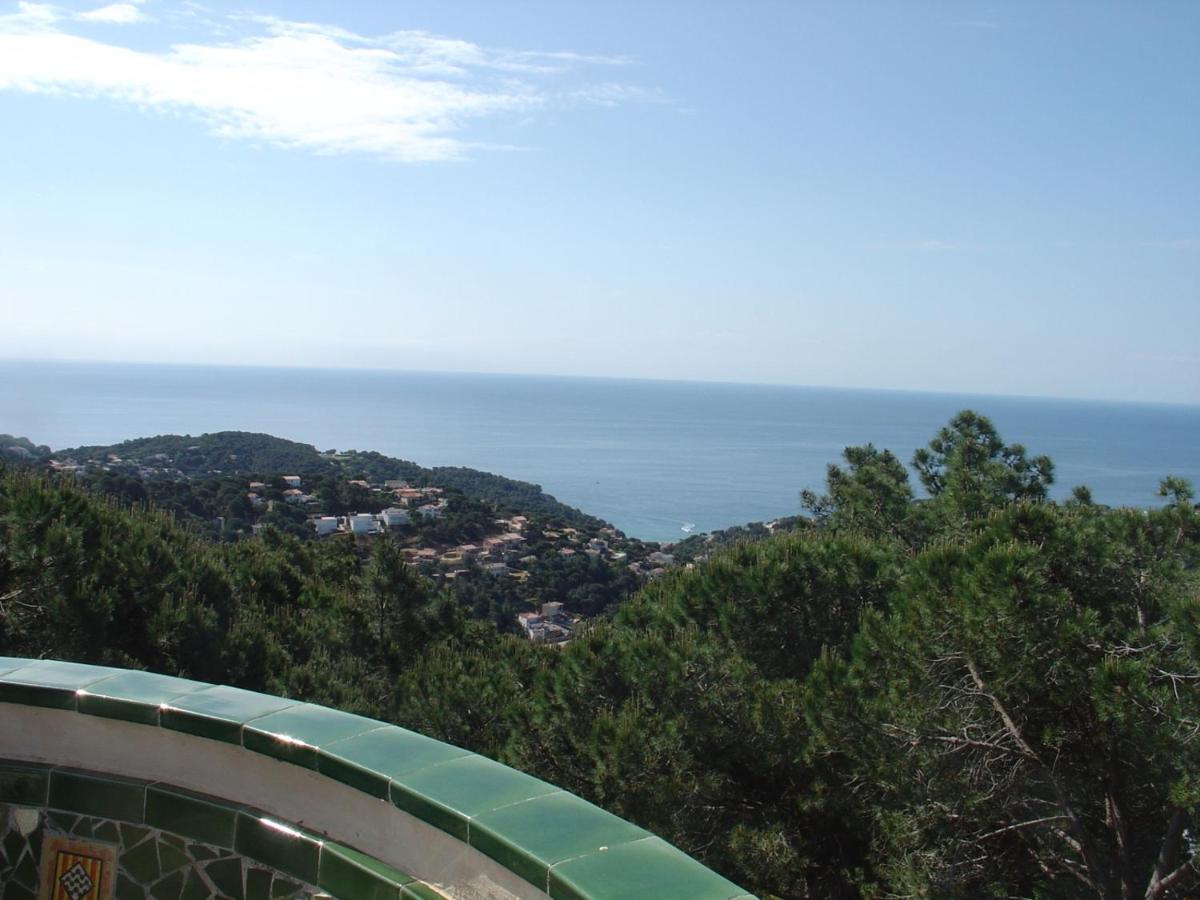 Torre photo 4