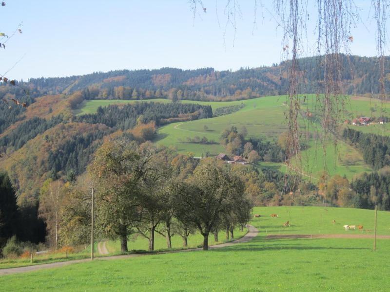 Ferienhaus Hubhof
