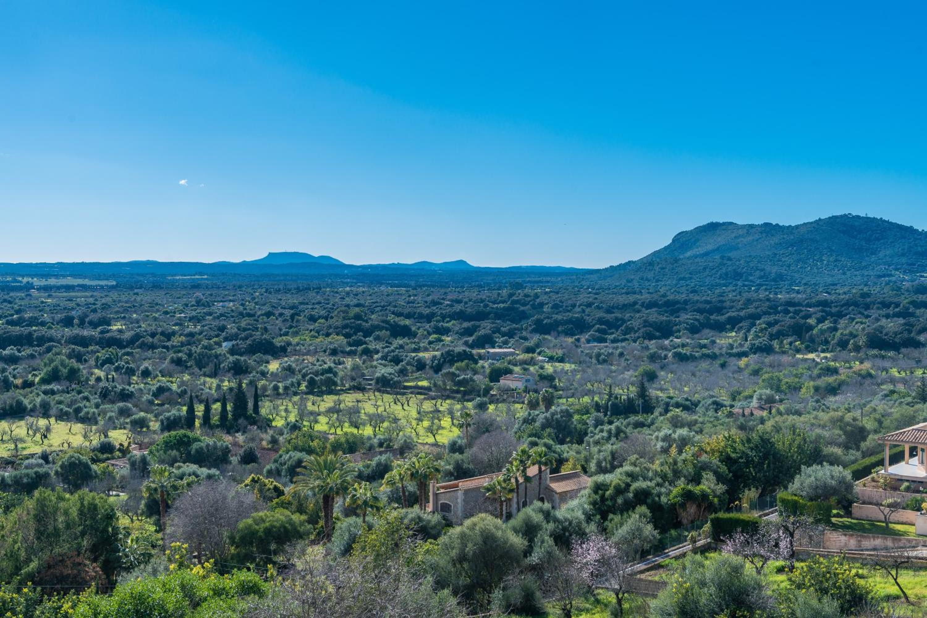 Biali view 5