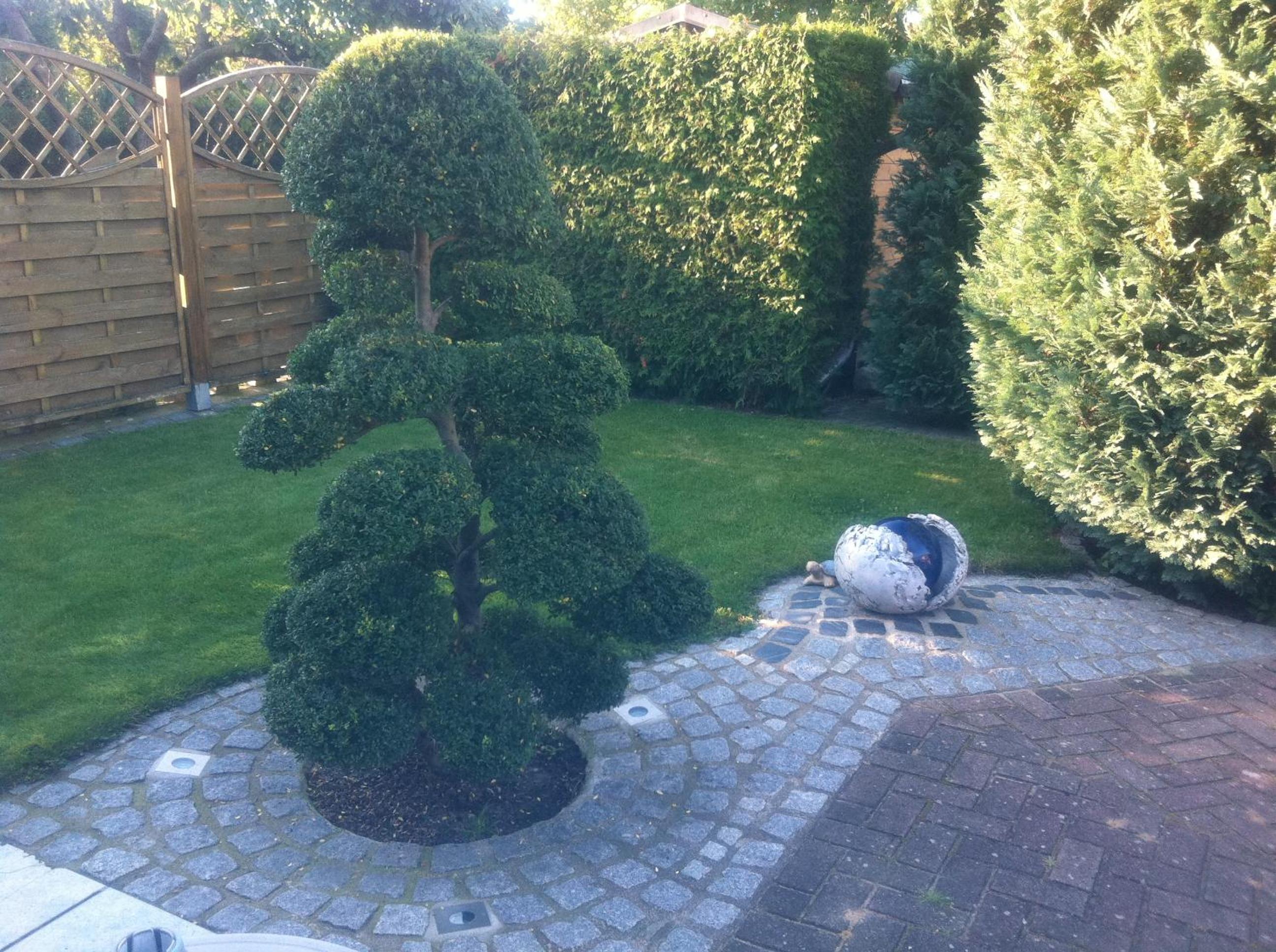 Photo 6