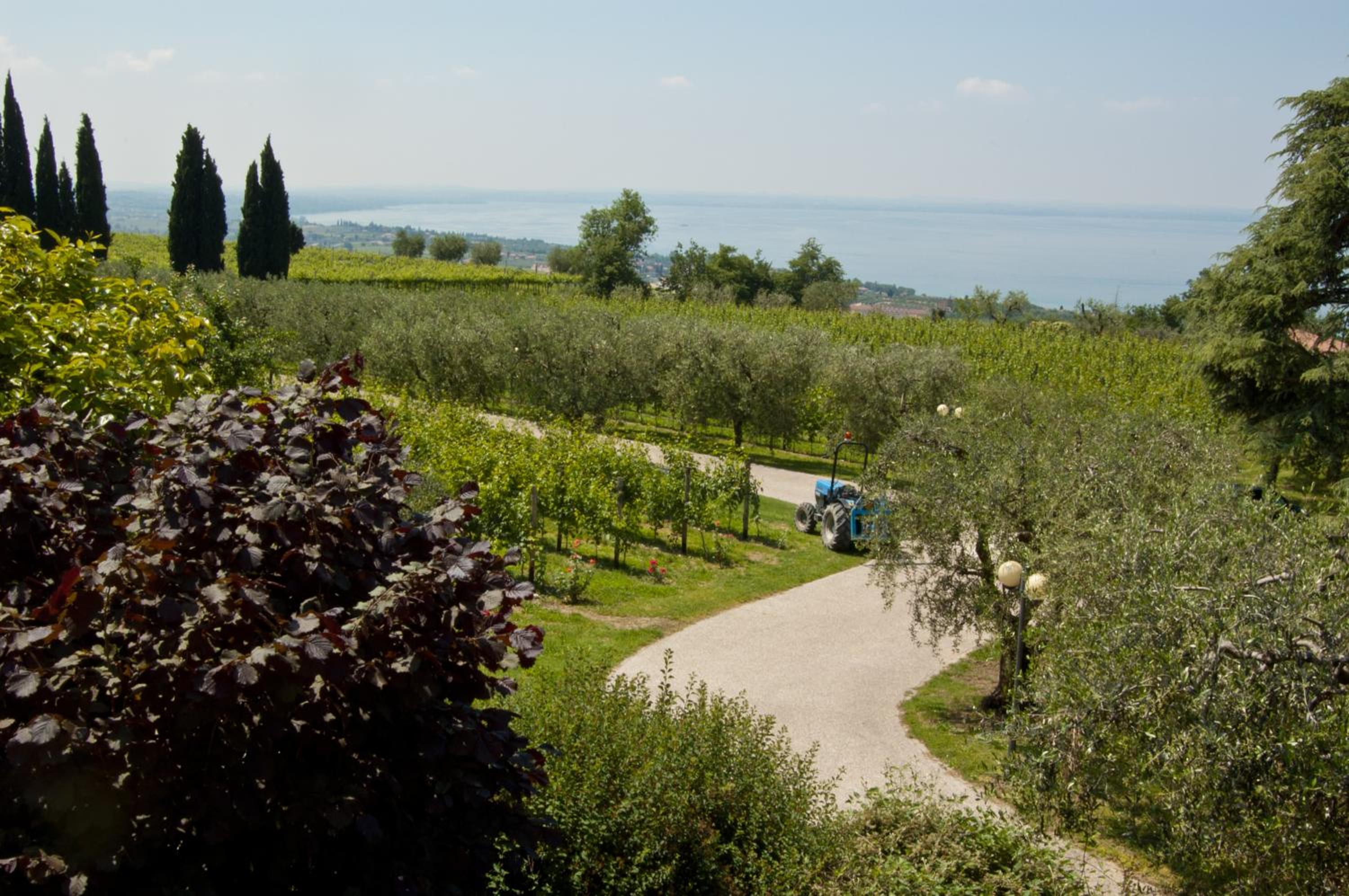 Quercia Belvedere Relais