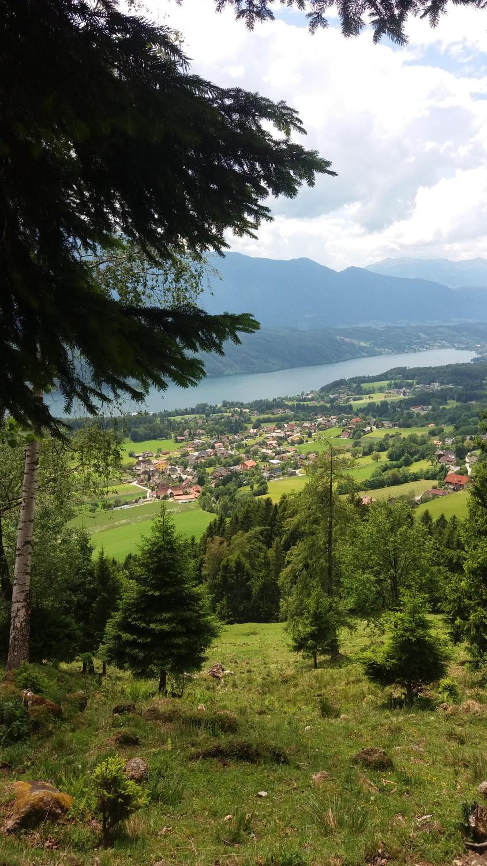 Ortnerhof view 5