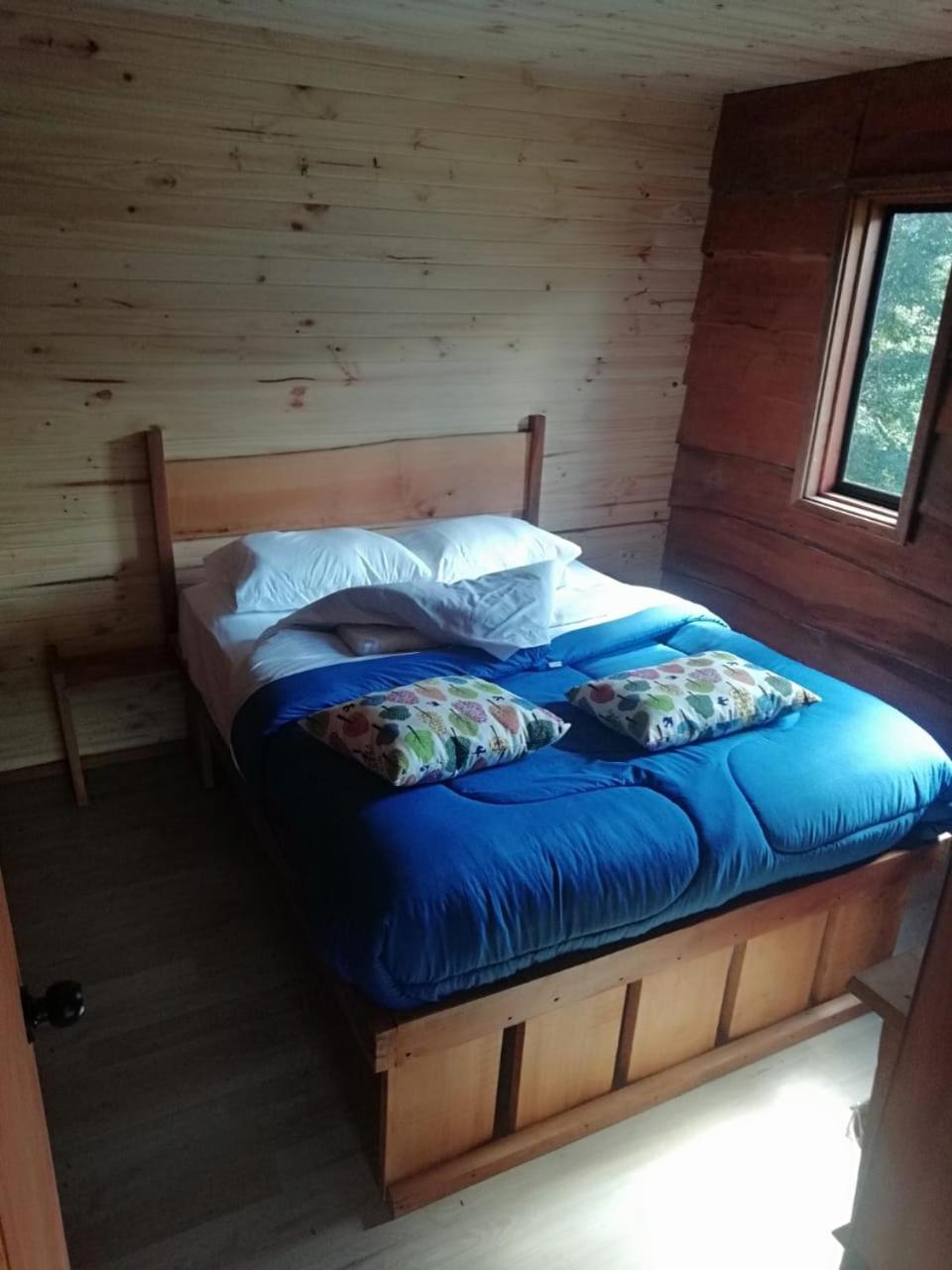 Photo 31