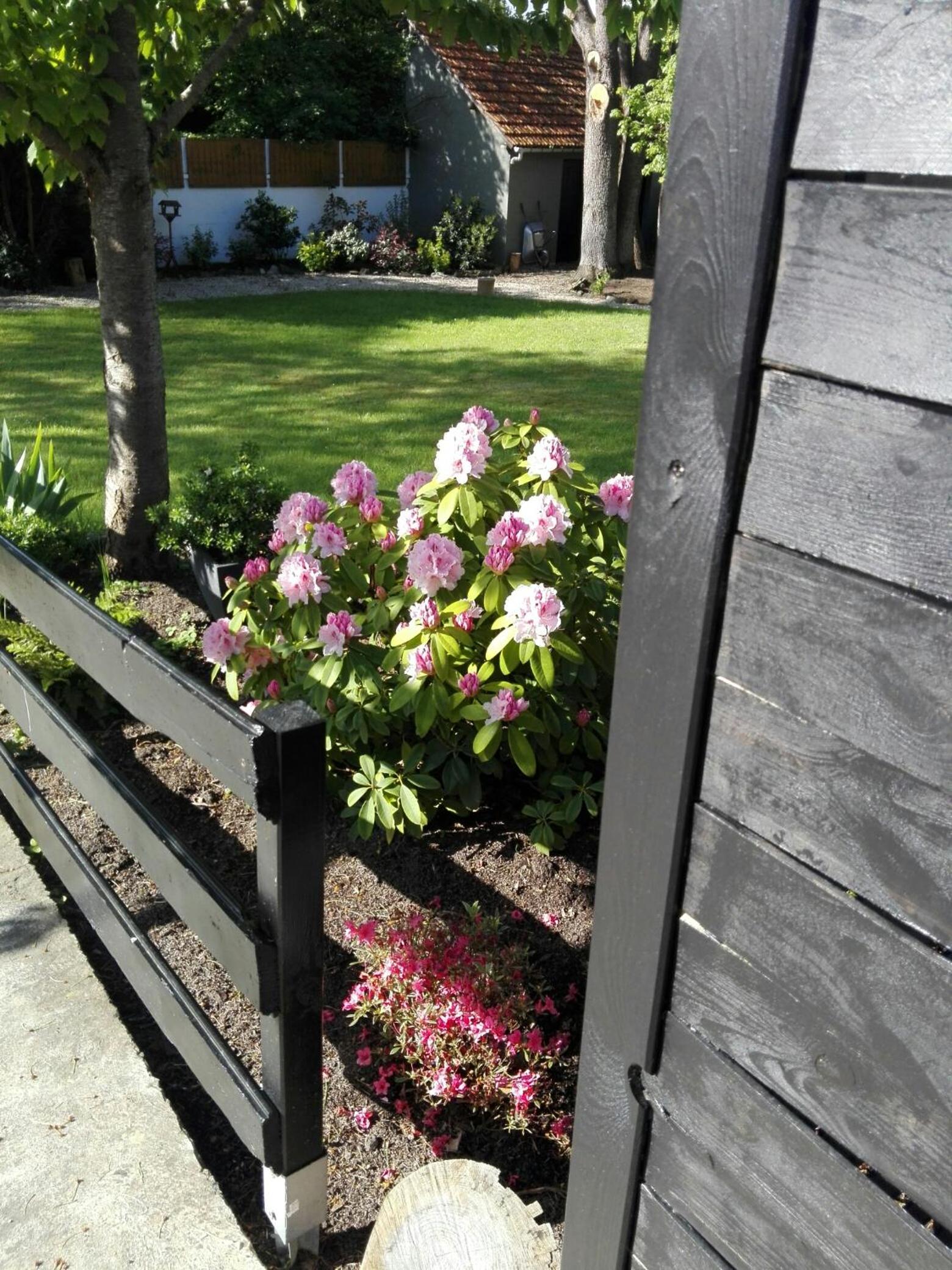 Photo 28