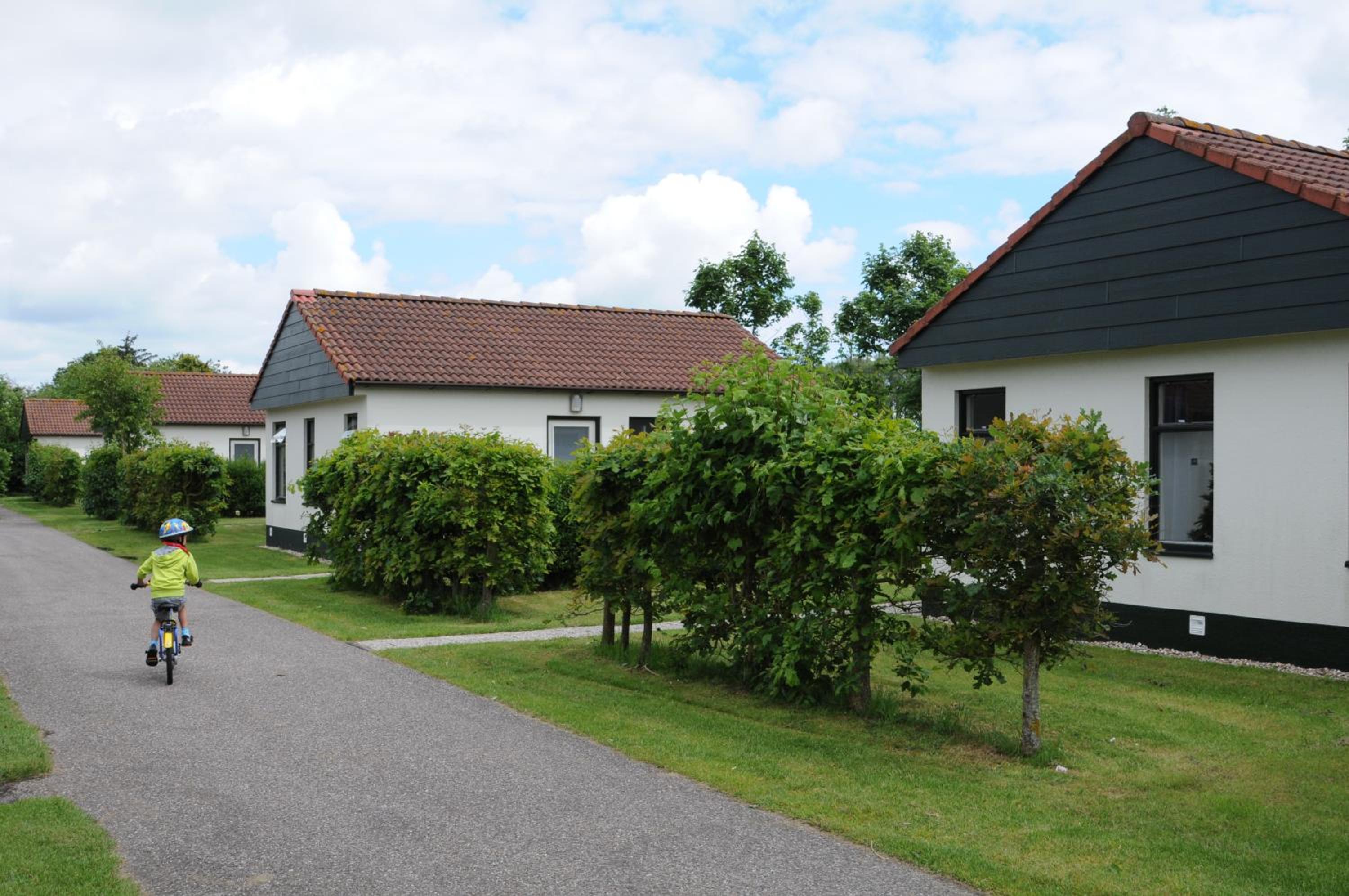 Vakantiepark Dennenoord view 5