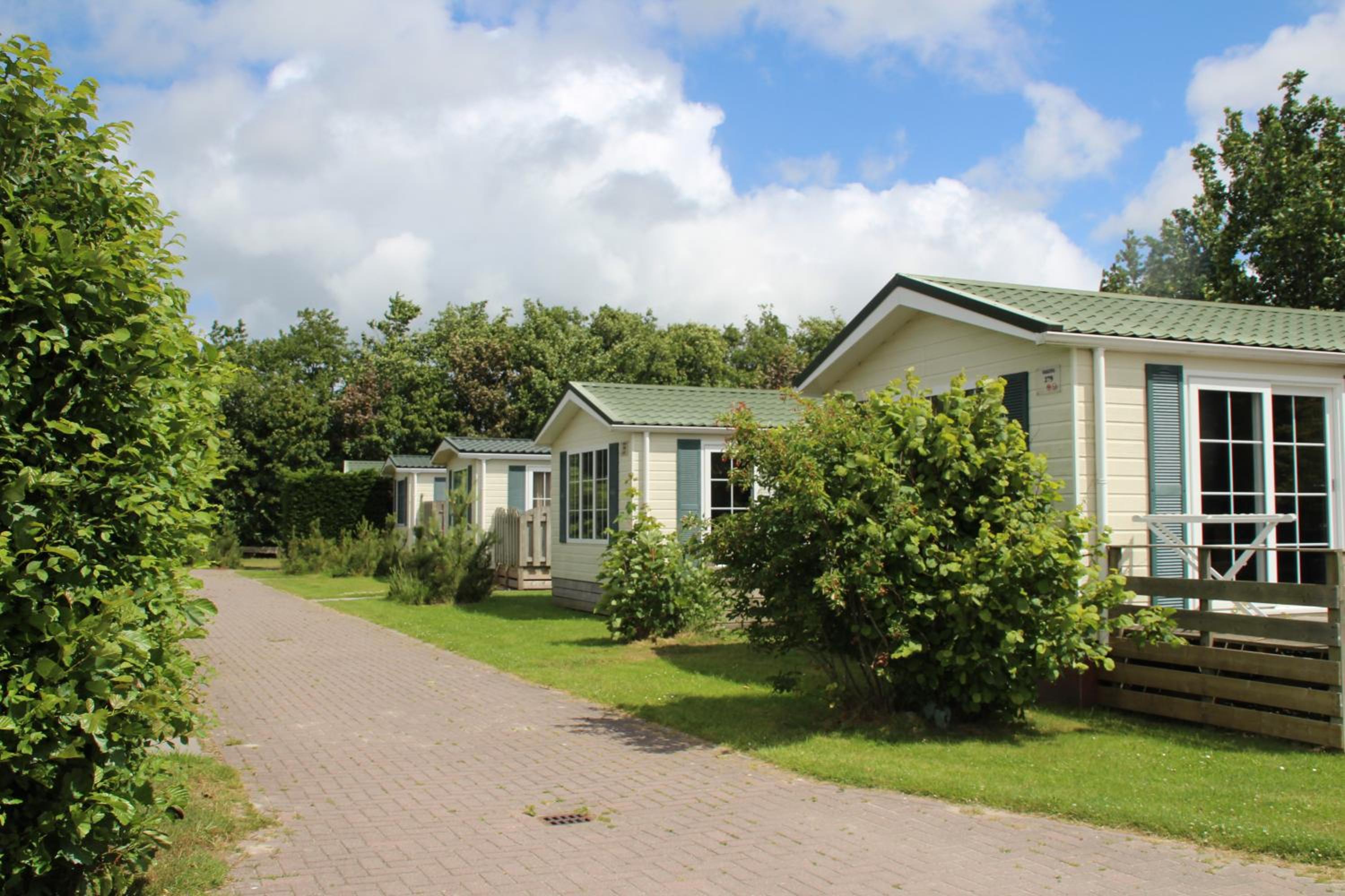 Vakantiepark Dennenoord view 4