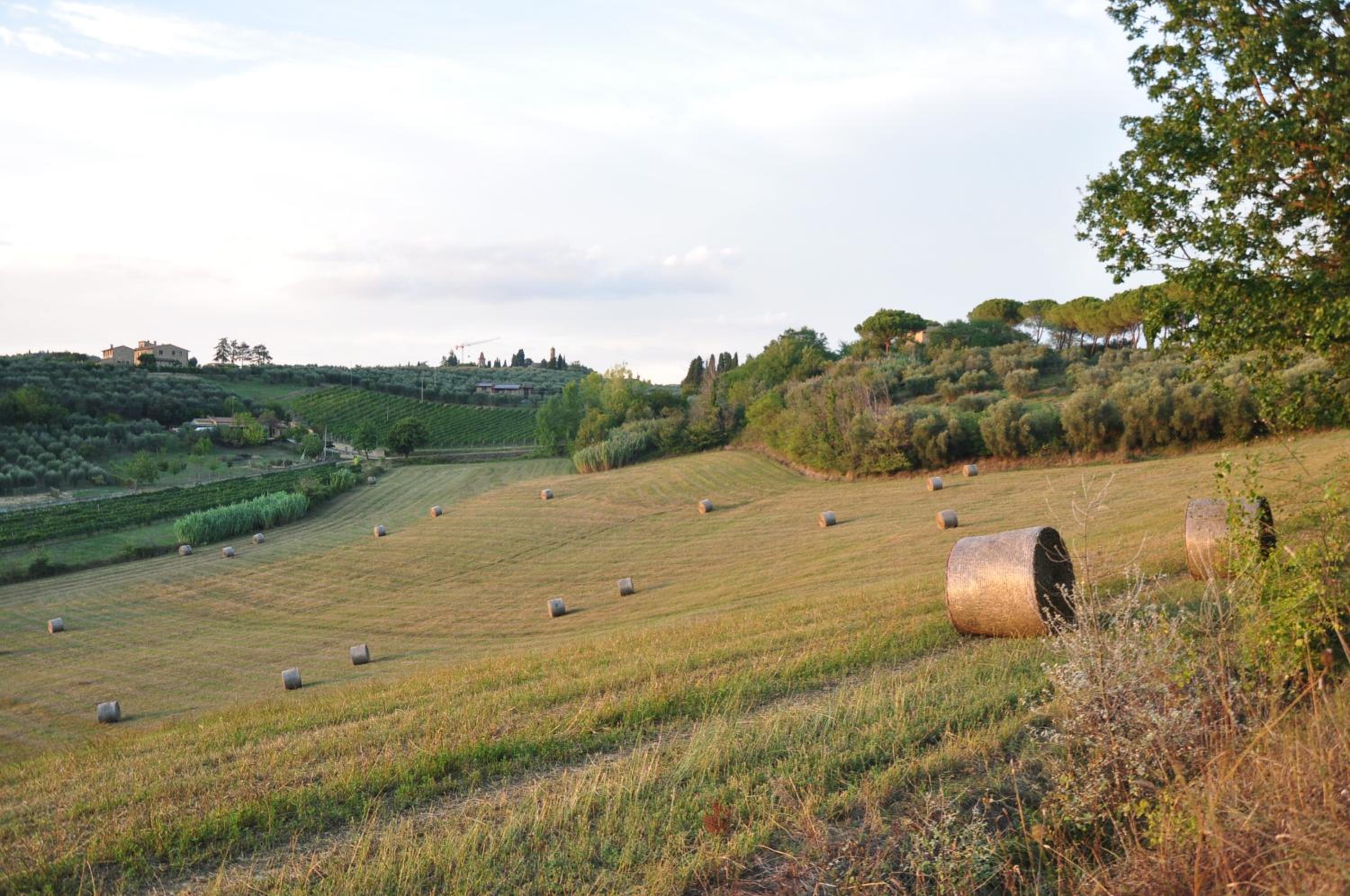 Agriturismo Podere Sertofano