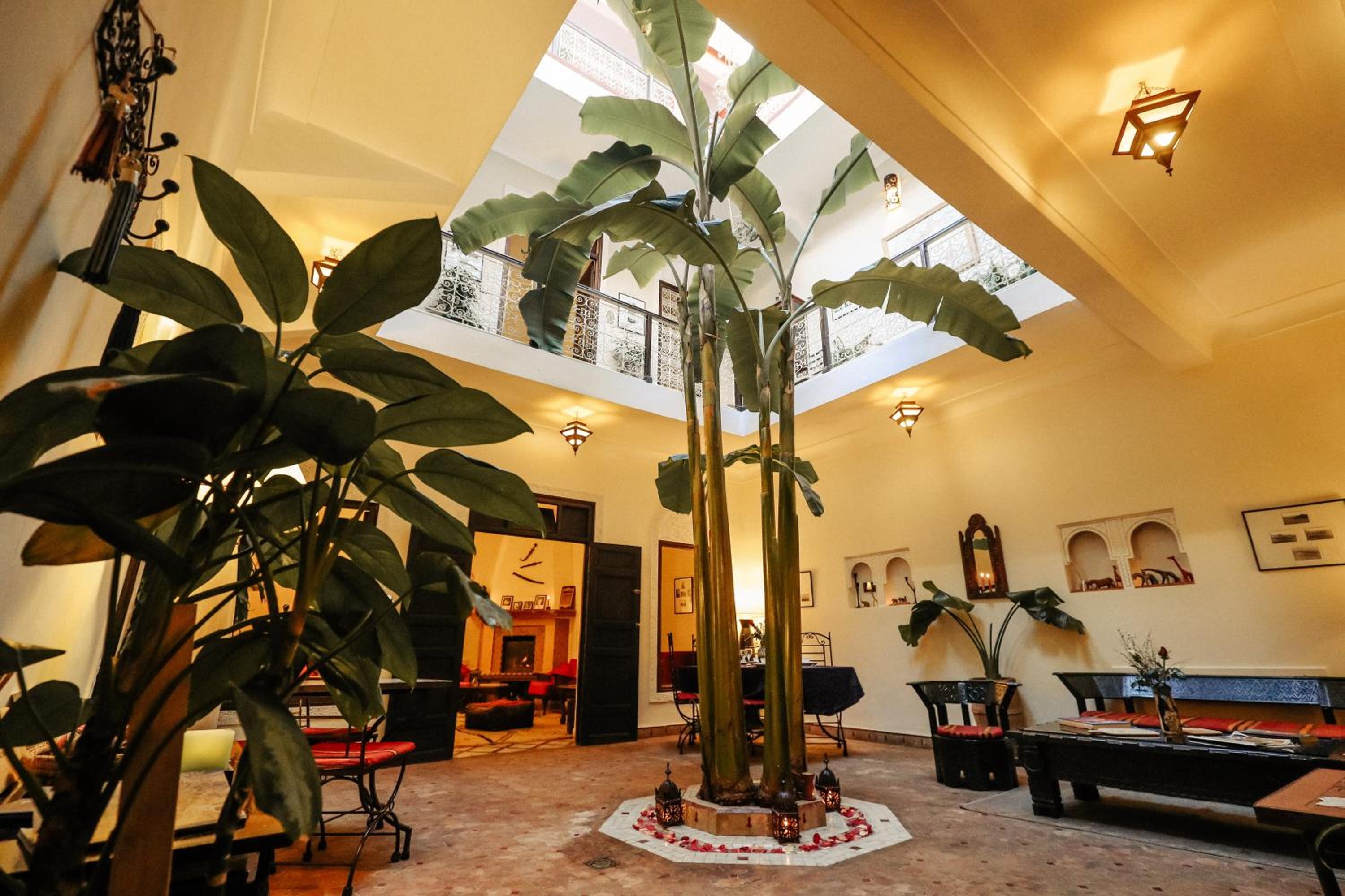 recepcion & lobby