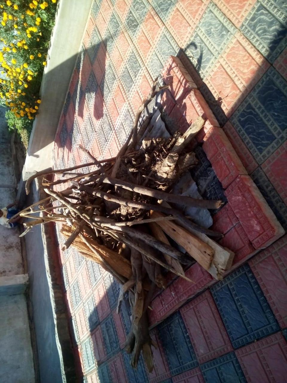 Photo 15