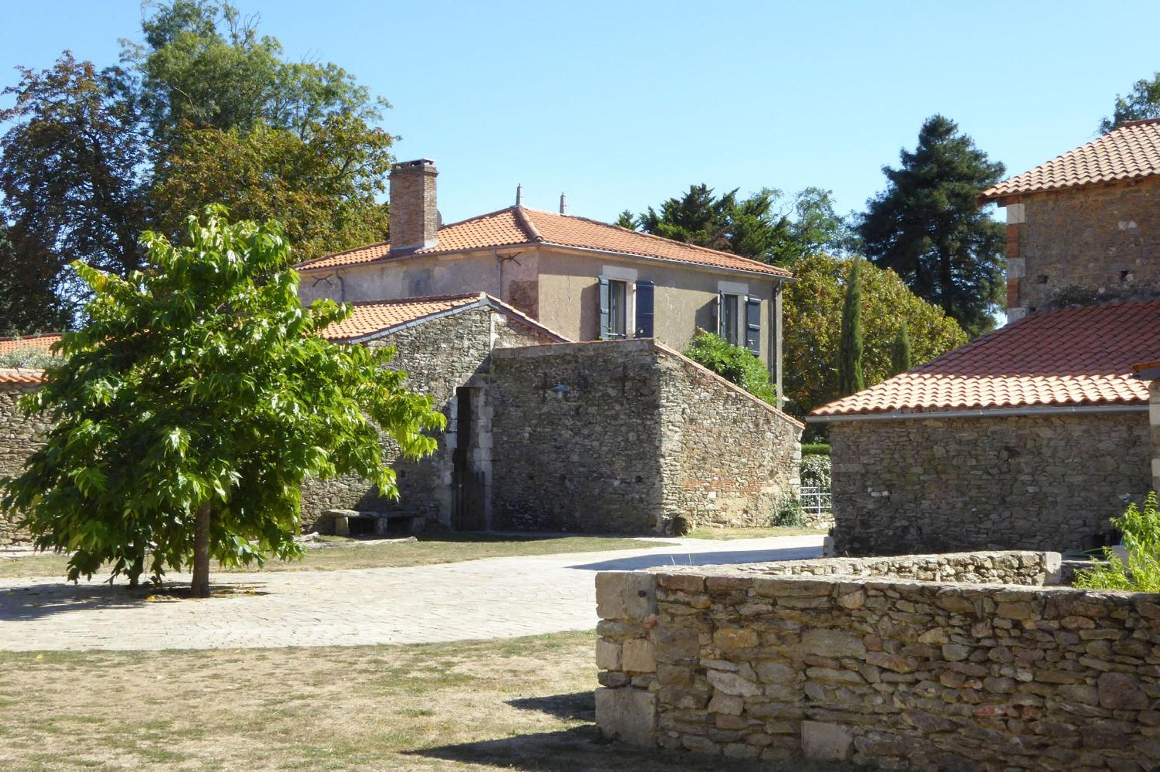 Photo 15