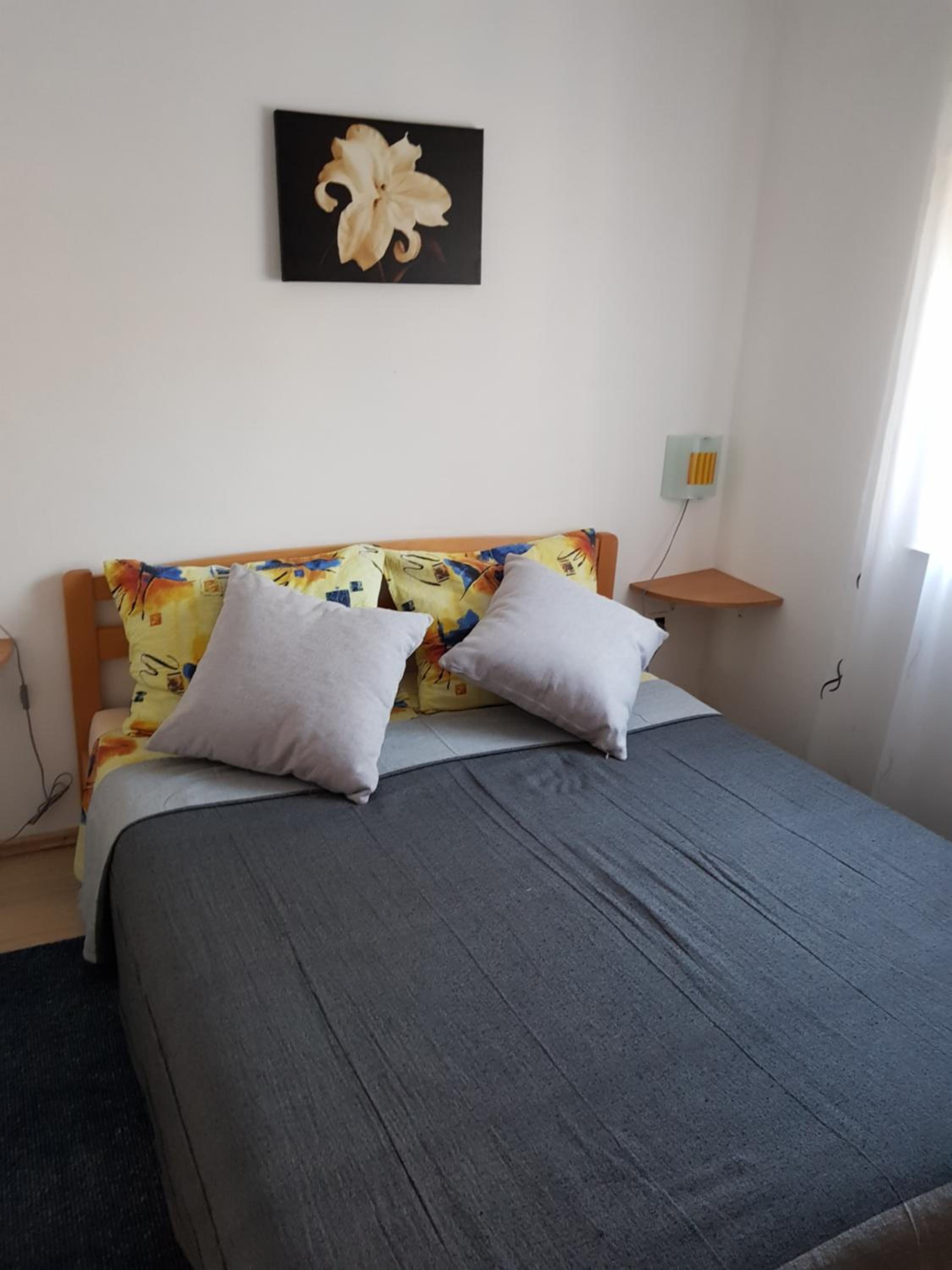 Apartments Davor