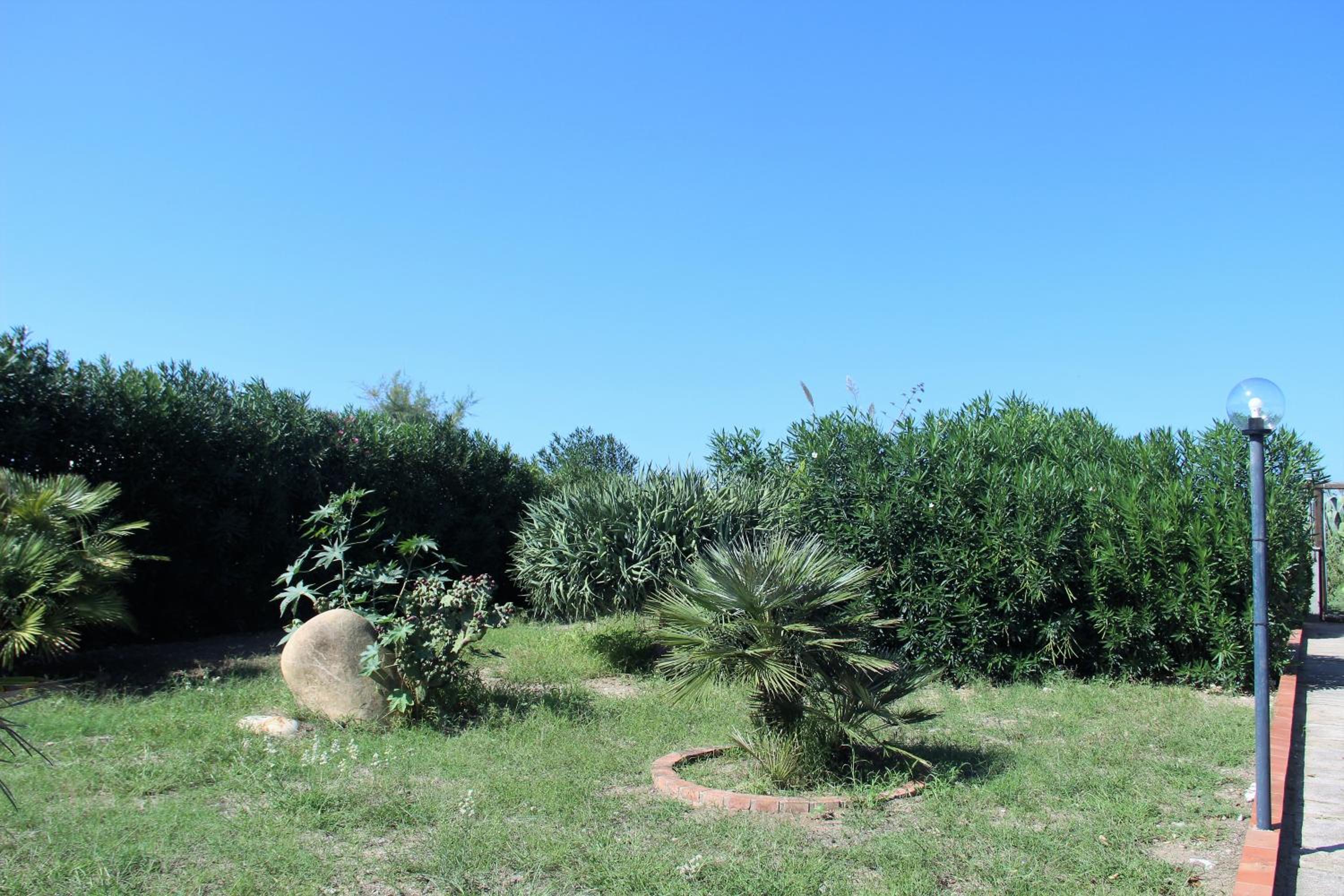 Photo 45