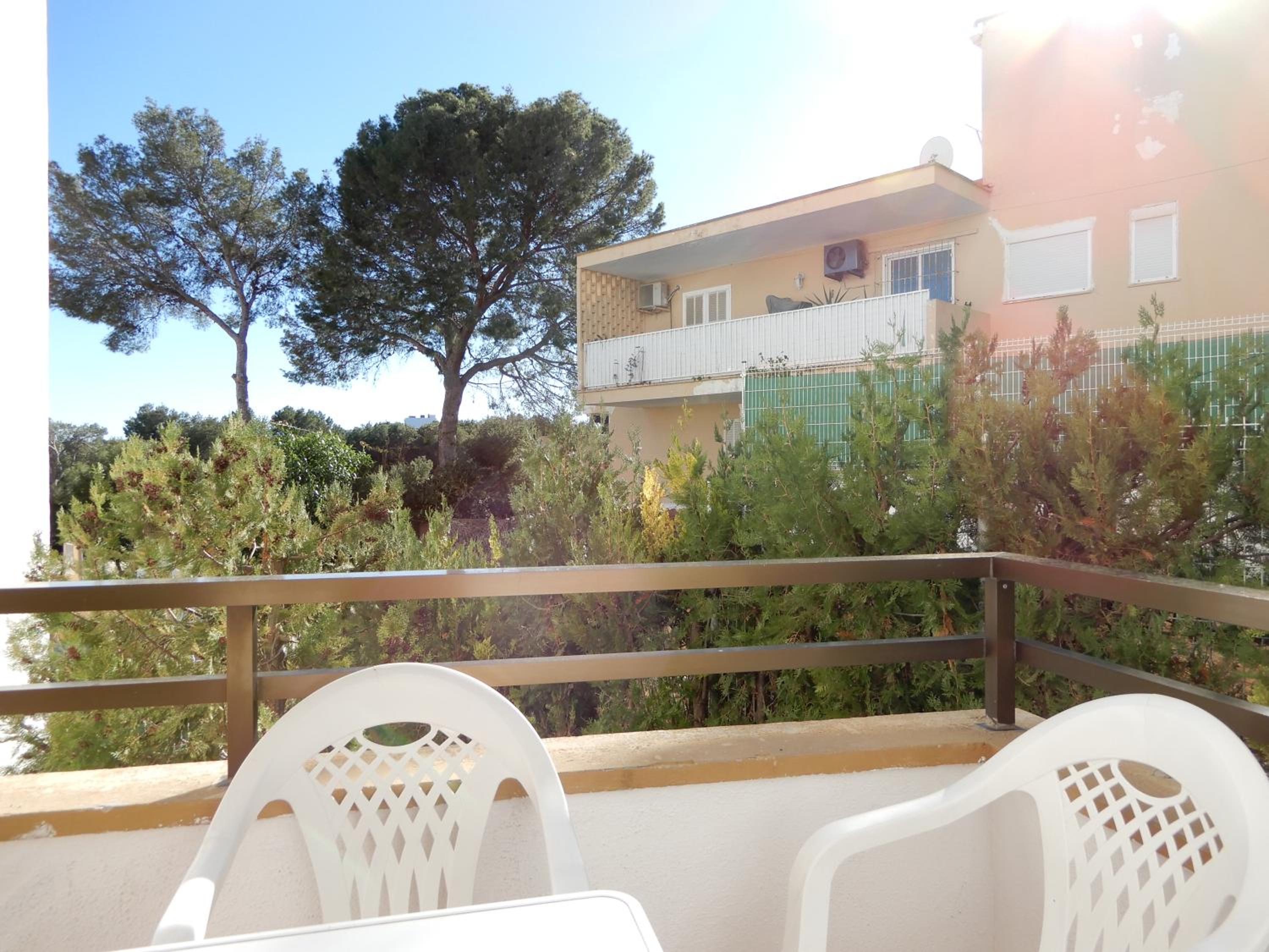Marina Palmanova Apartamentos