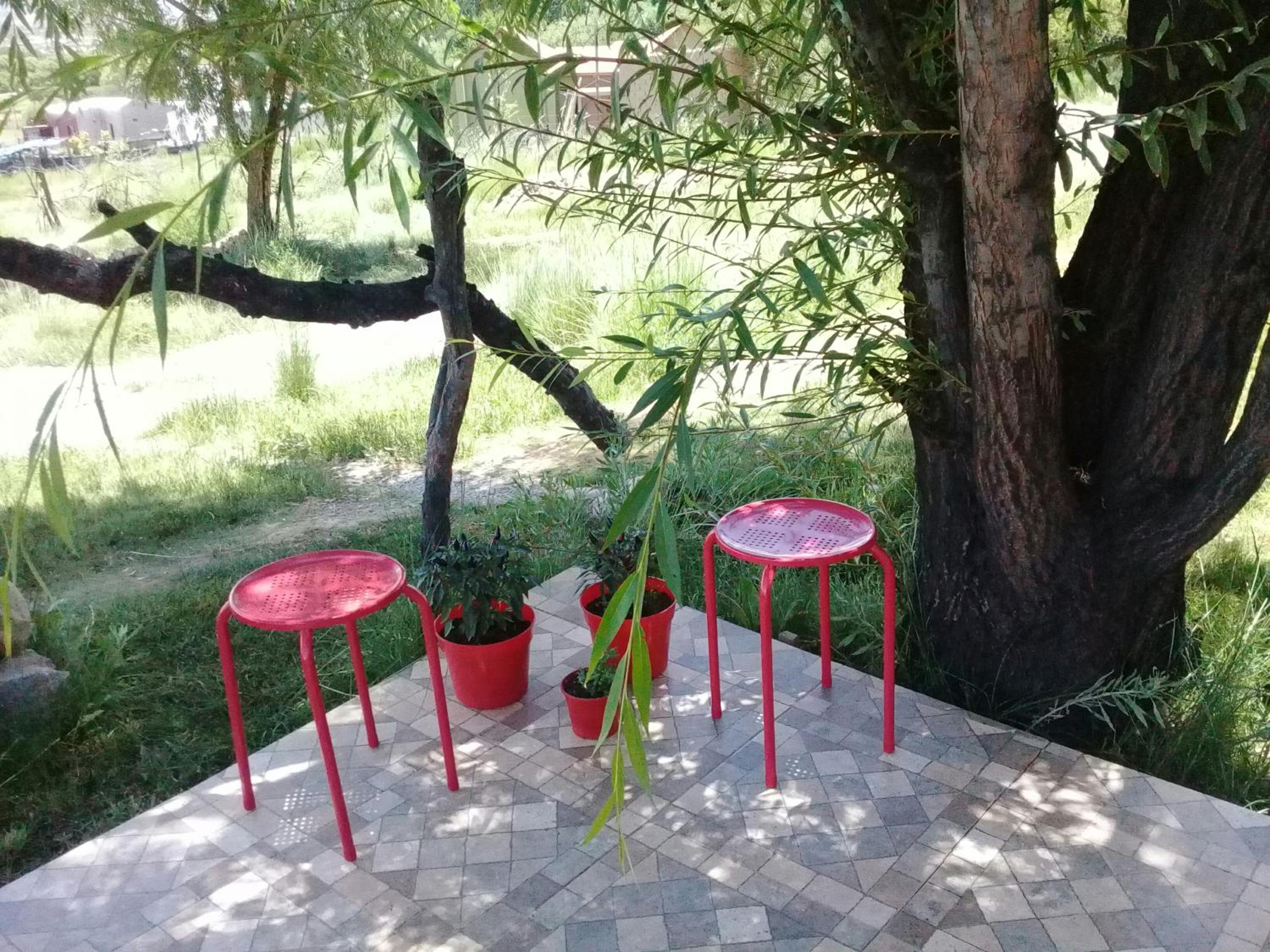 Cabaña El Cardón,casita en el campo quebradeño