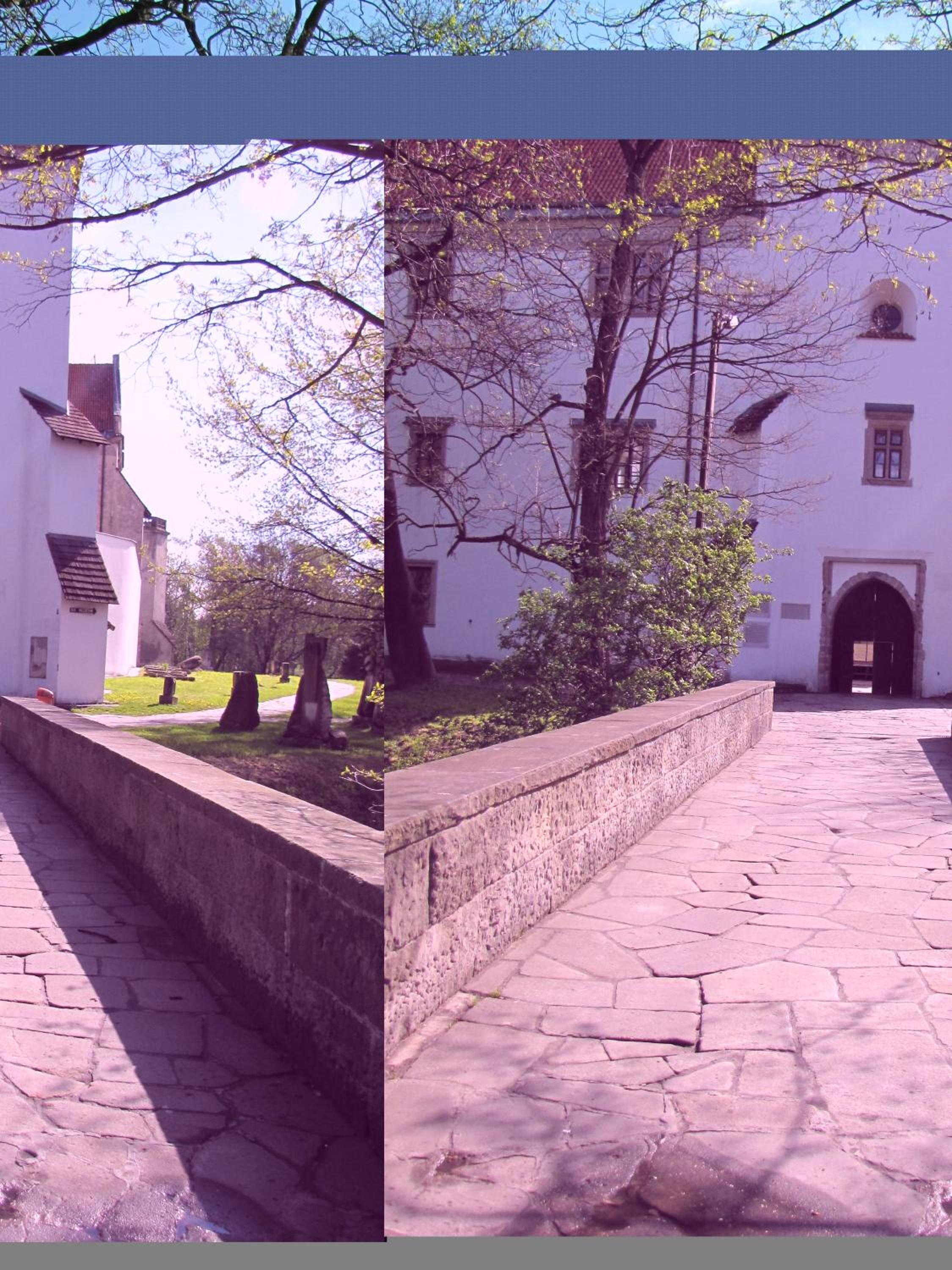 Photo 29
