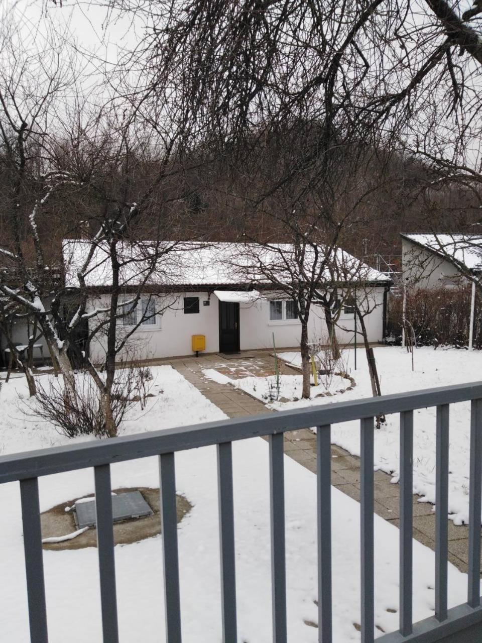 Photo 12