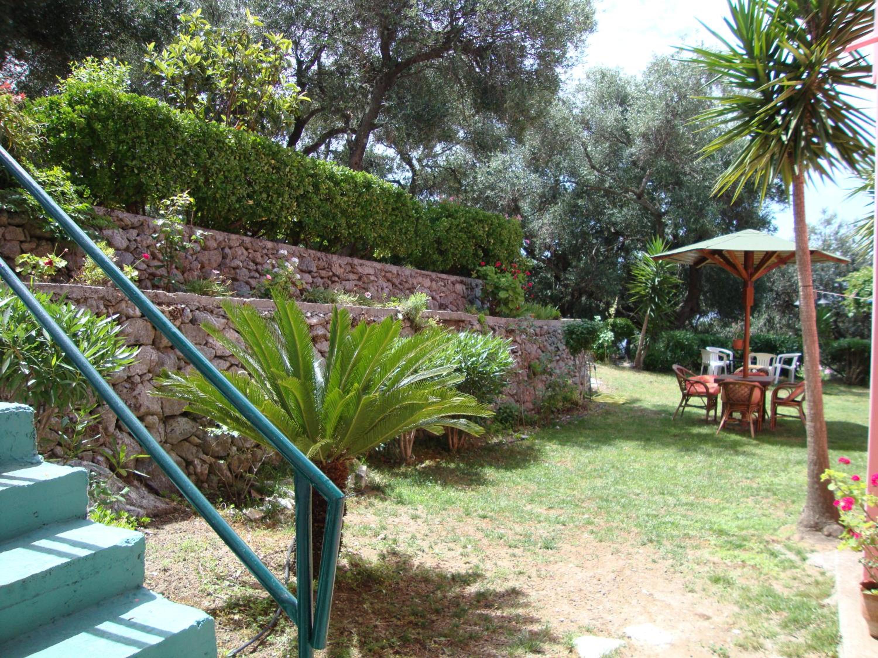 Photo 46