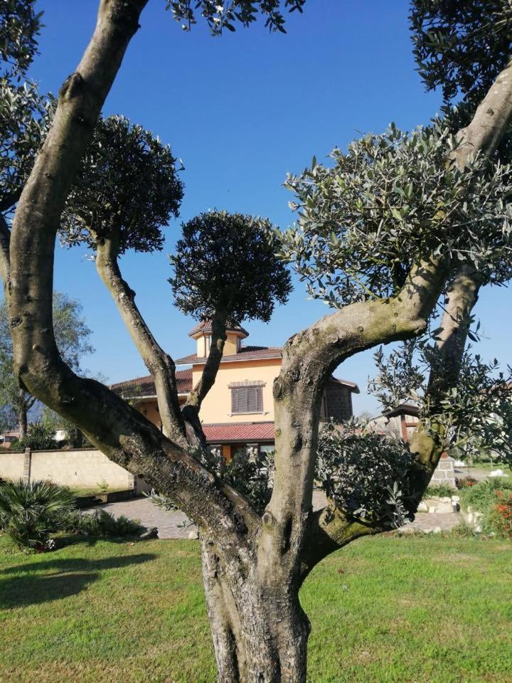 Photo 17