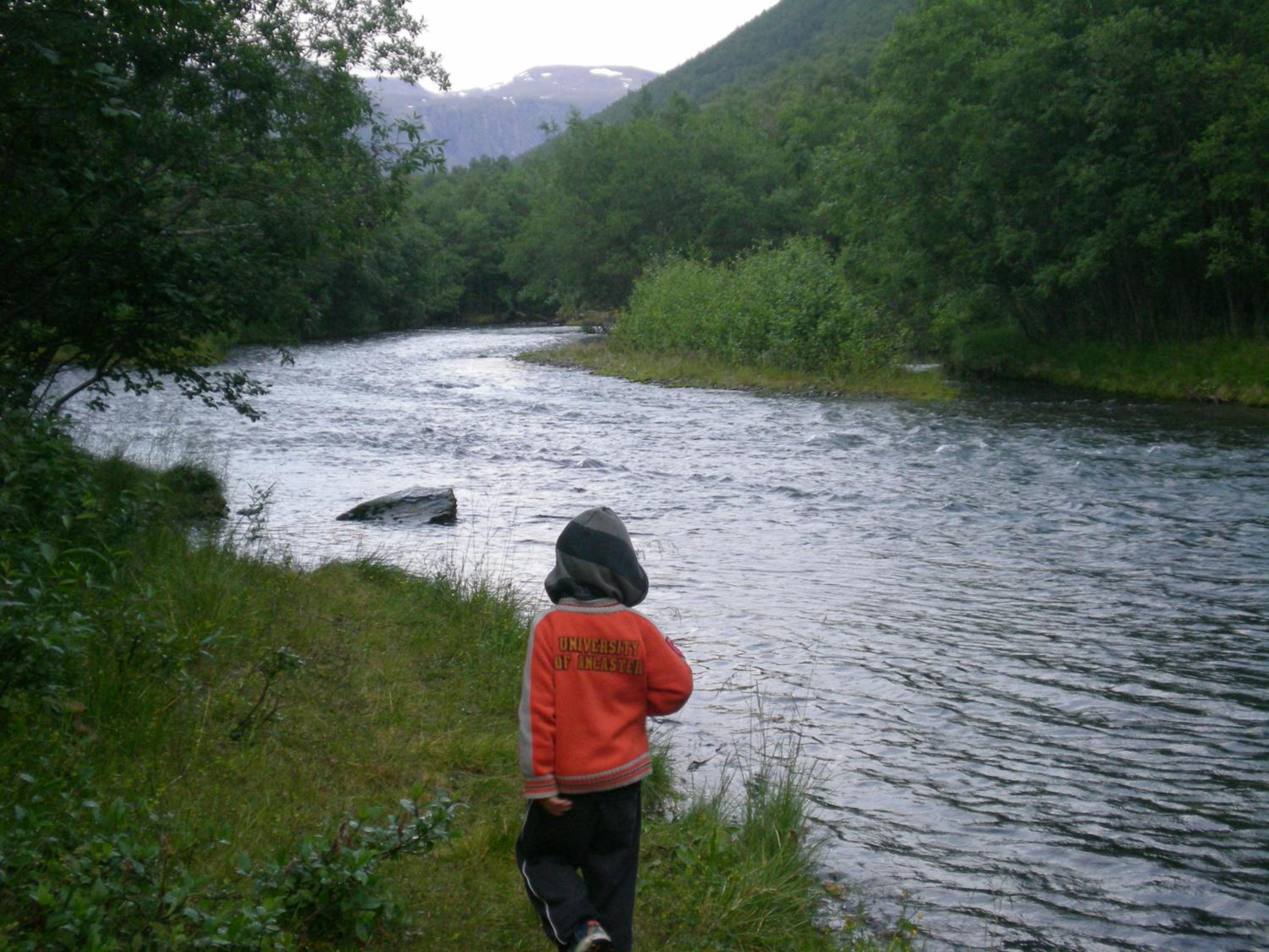 Photo 26