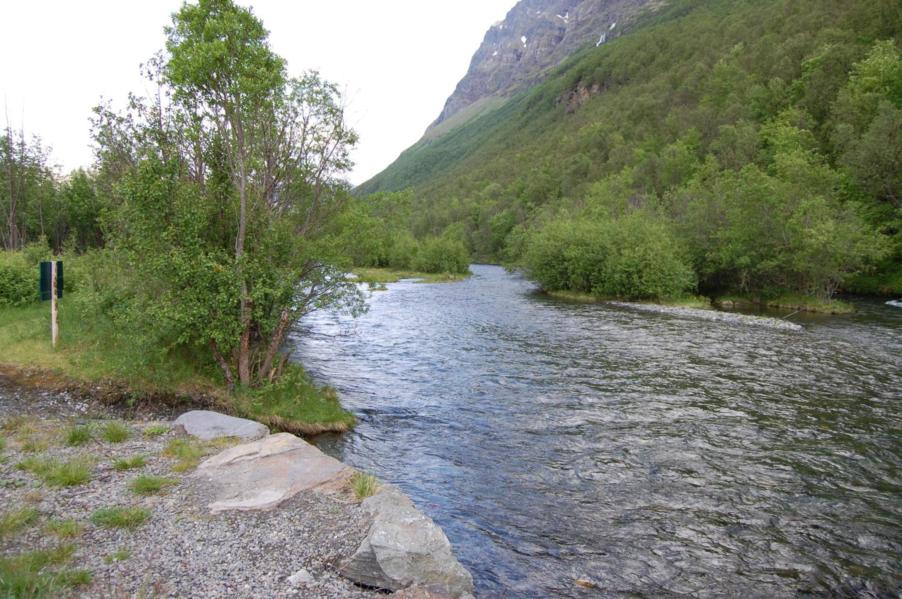 Photo 32
