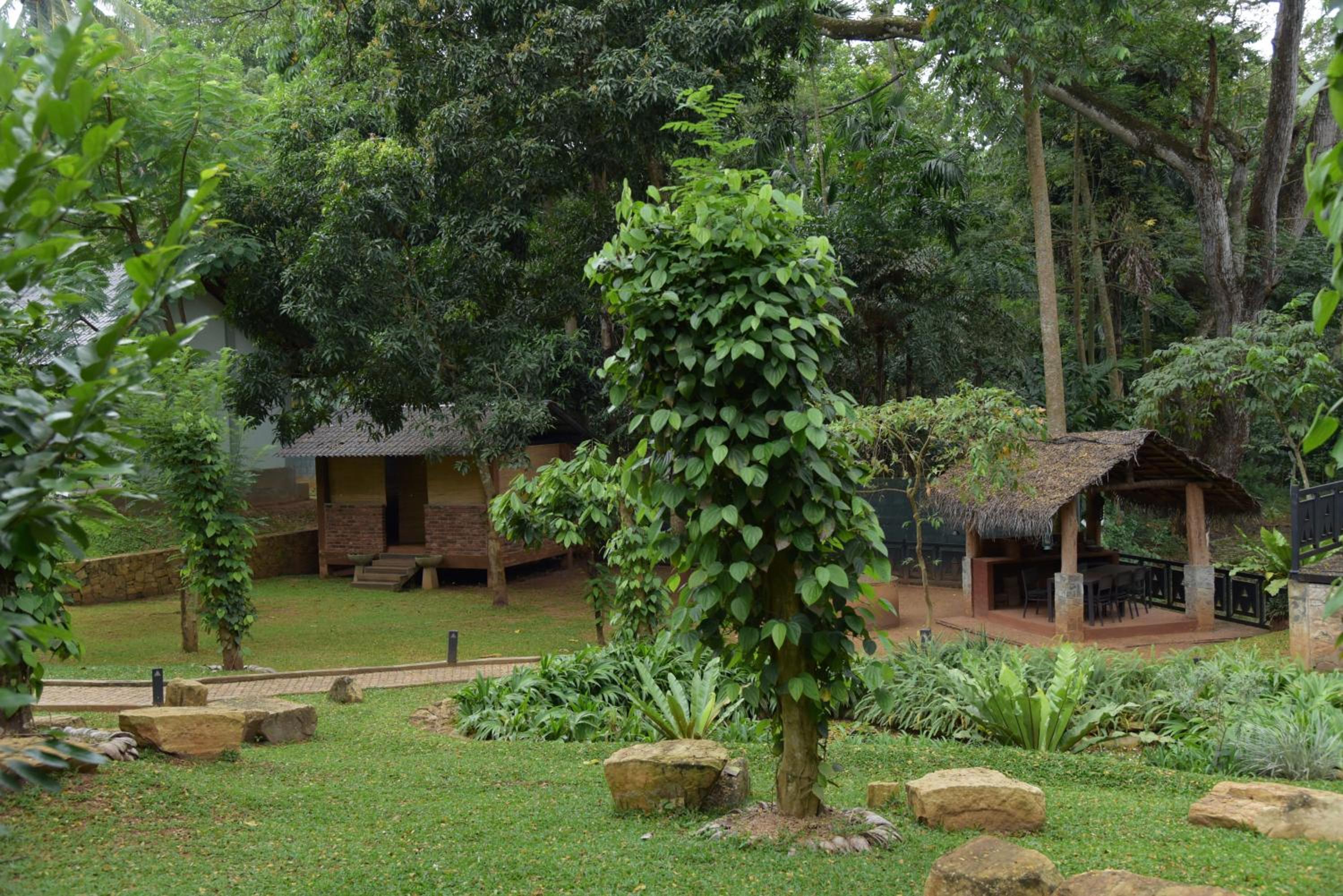 Serendib Signature Resort