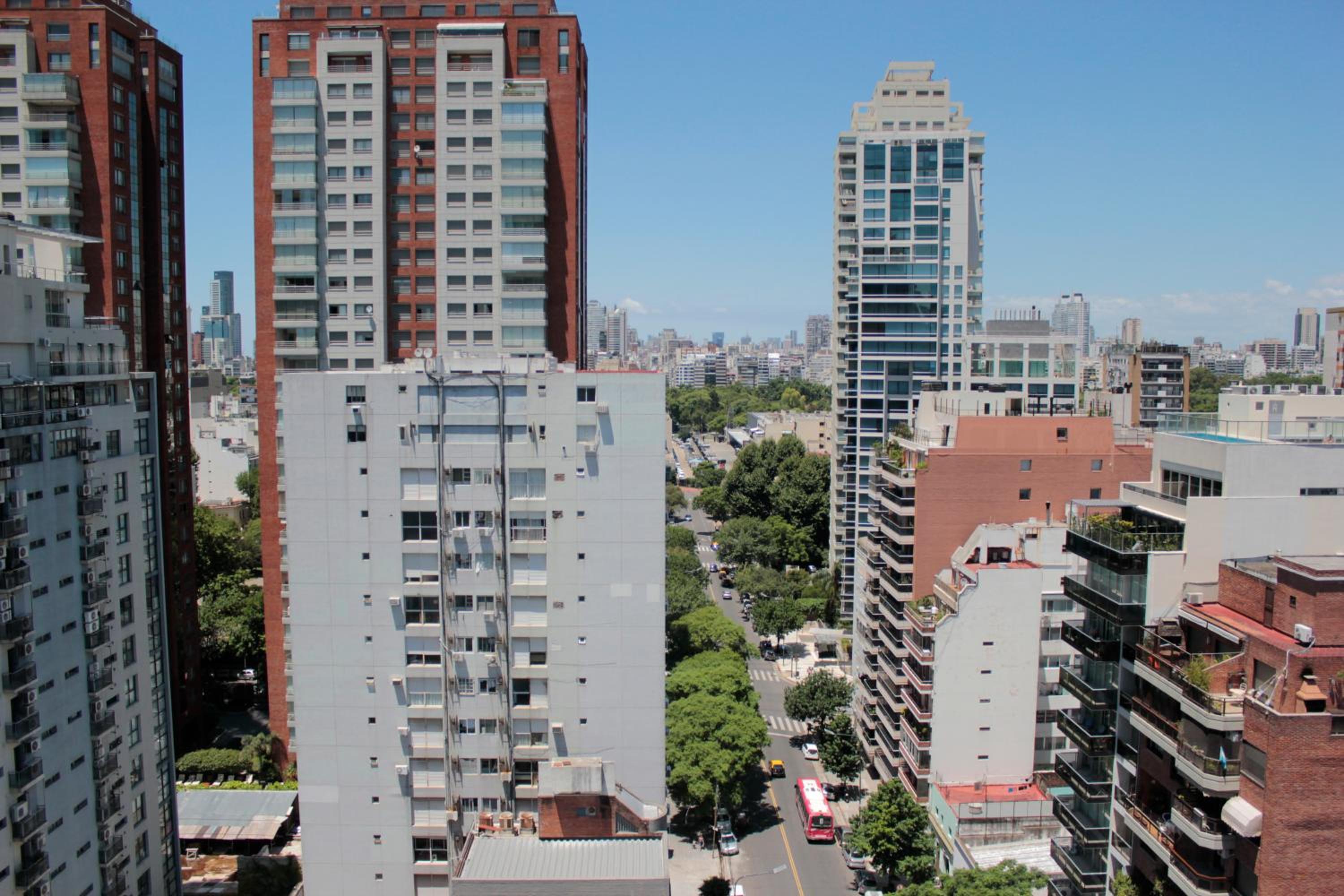 cerviño nuevo