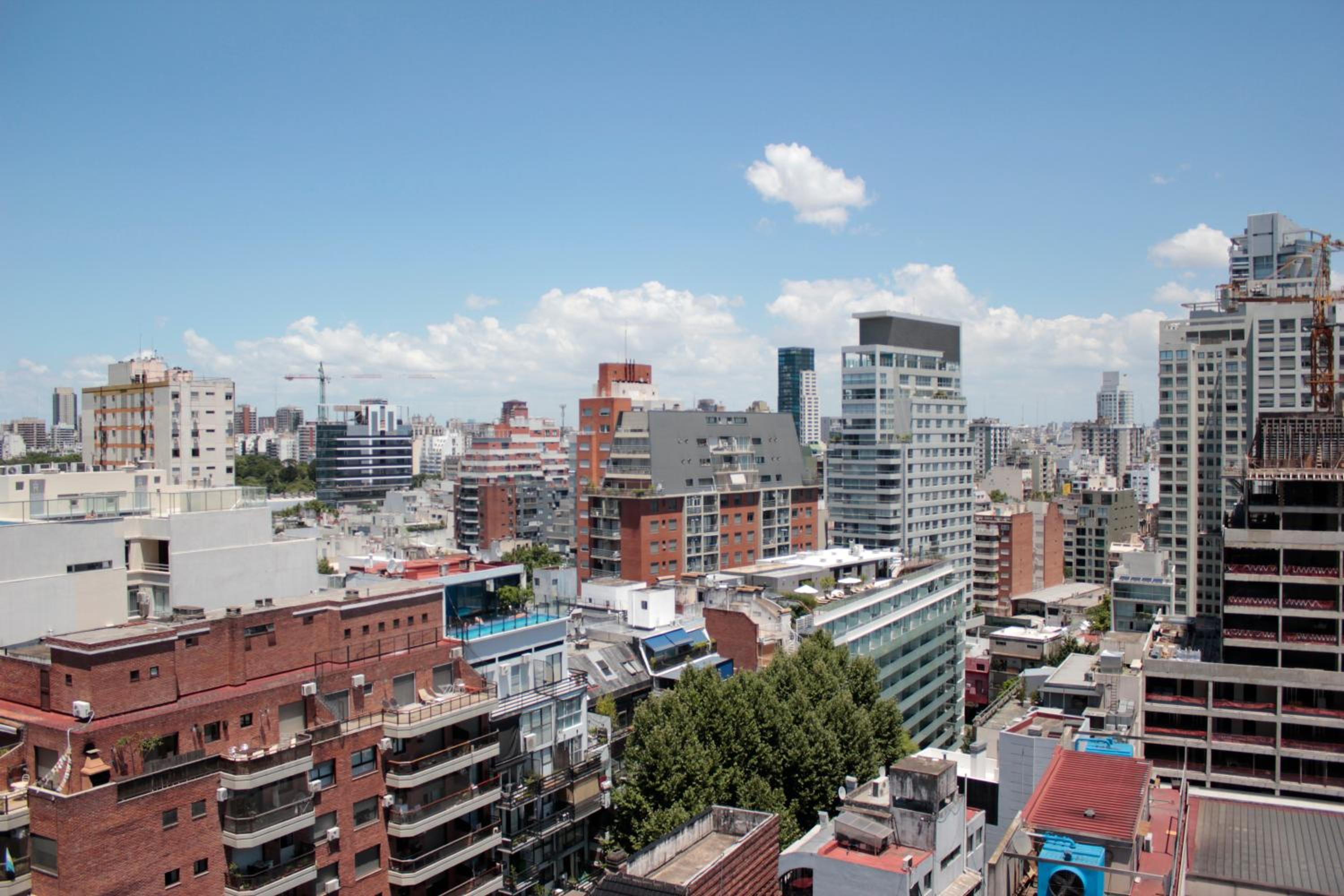 cerviño nuevo