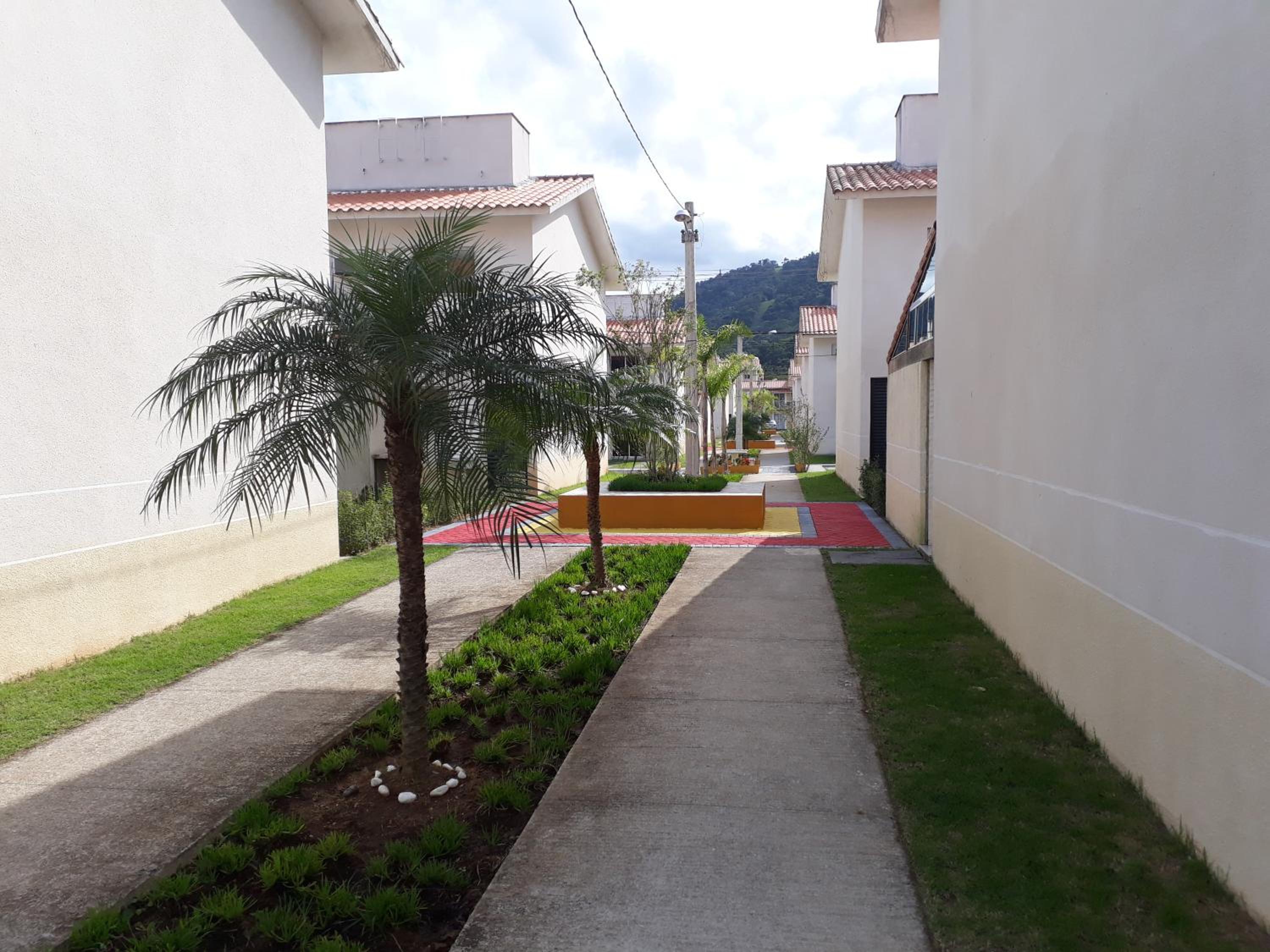 Natureza e paz no Sahy