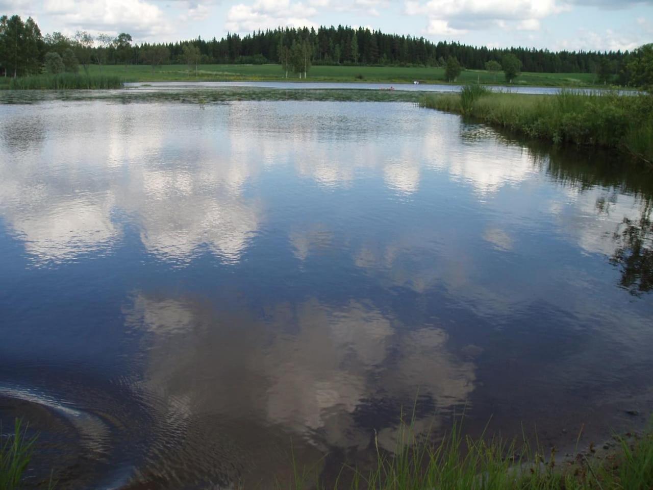 Photo 32