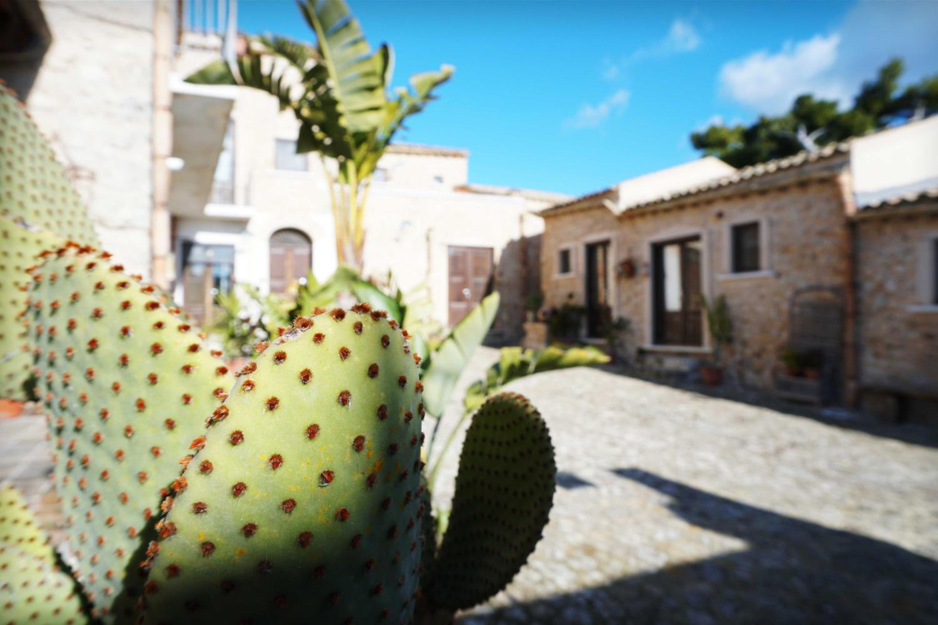 Agriturismo Baglio San Nicola