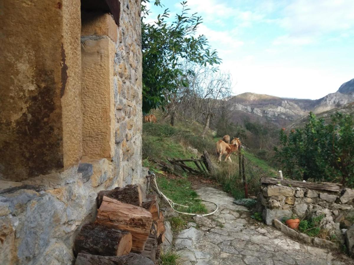 La Cabaña del Beyu Pen view 4
