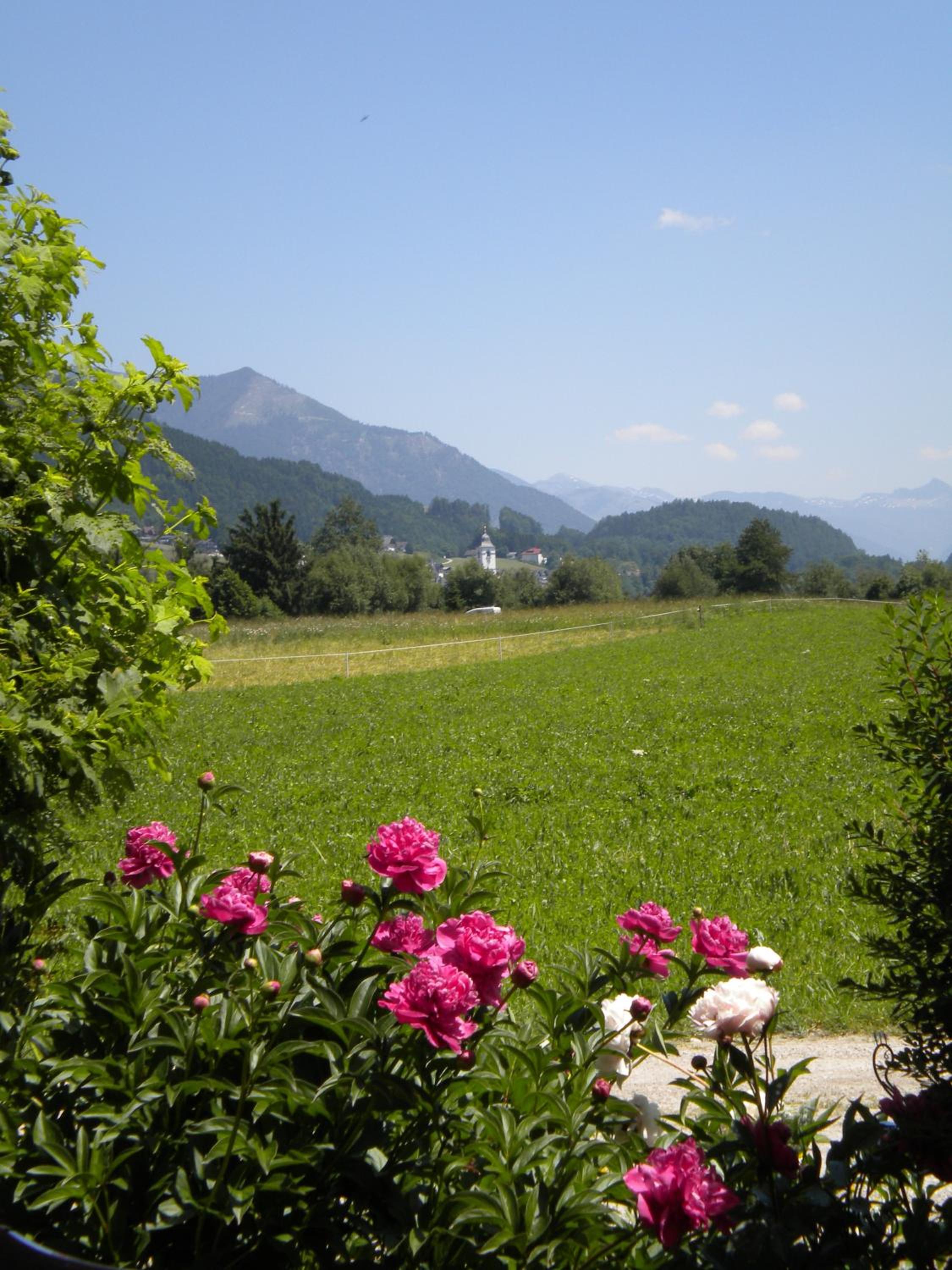 Plombergbauer