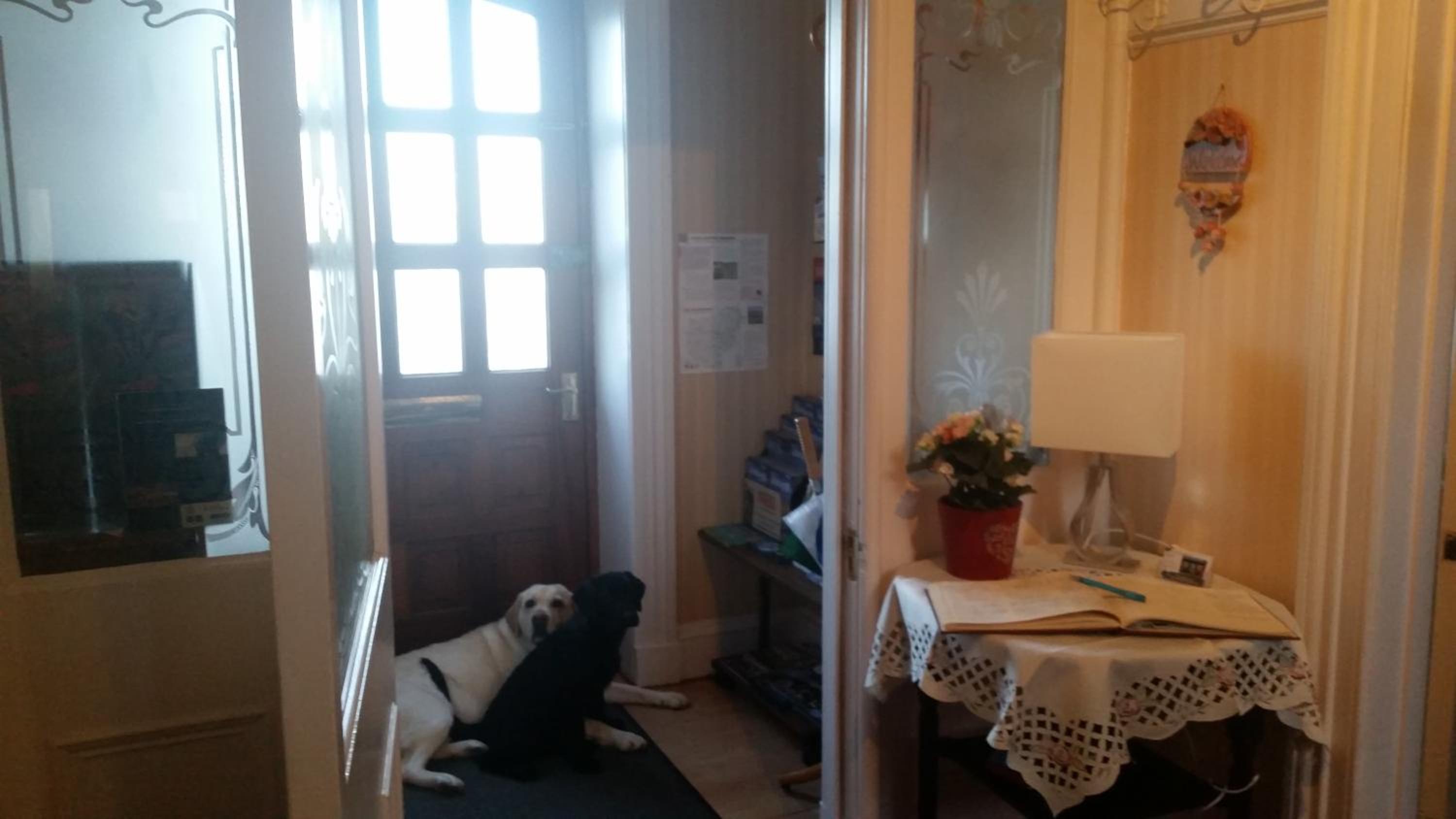 Photo 22