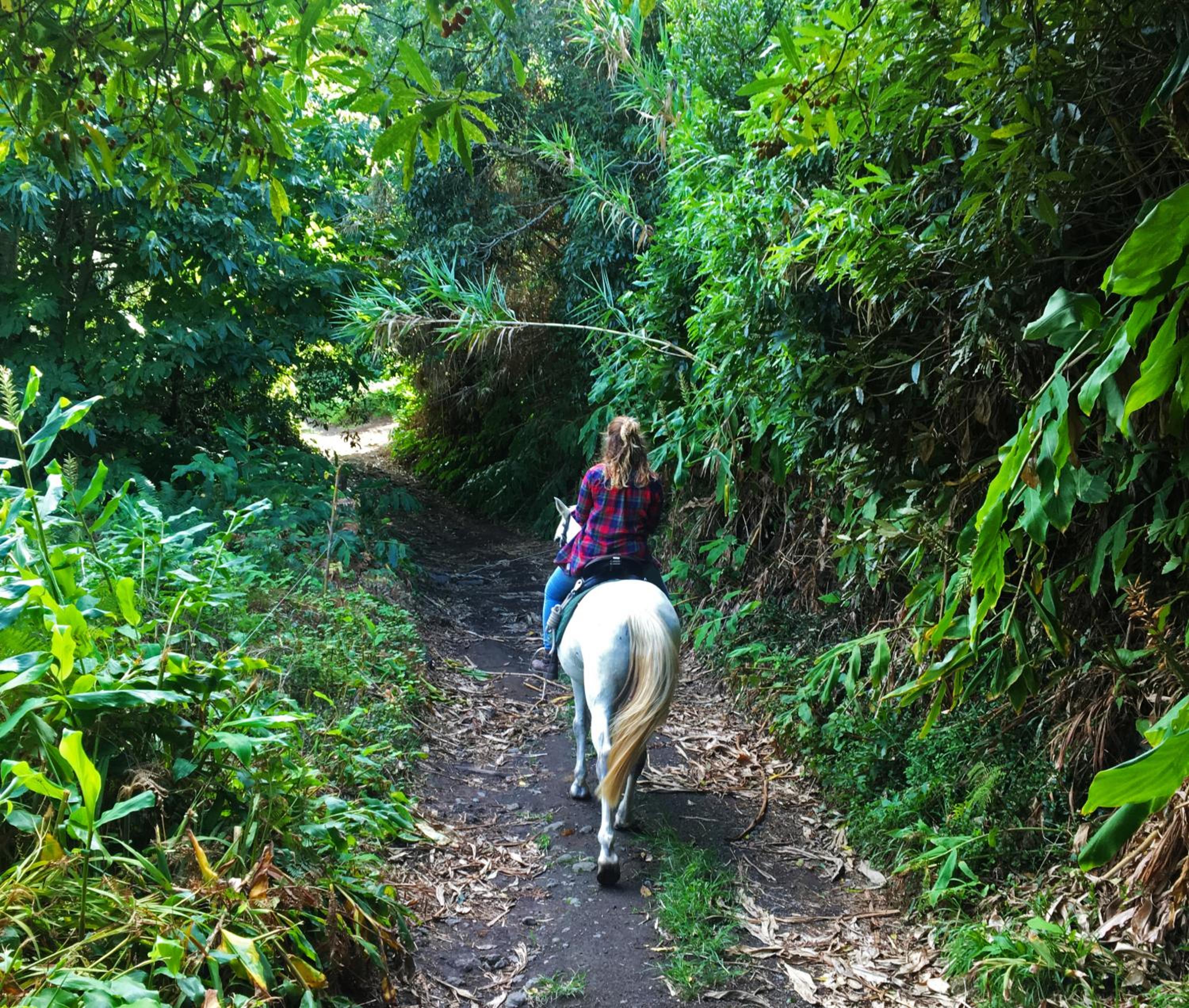 Pátio Ecolodge