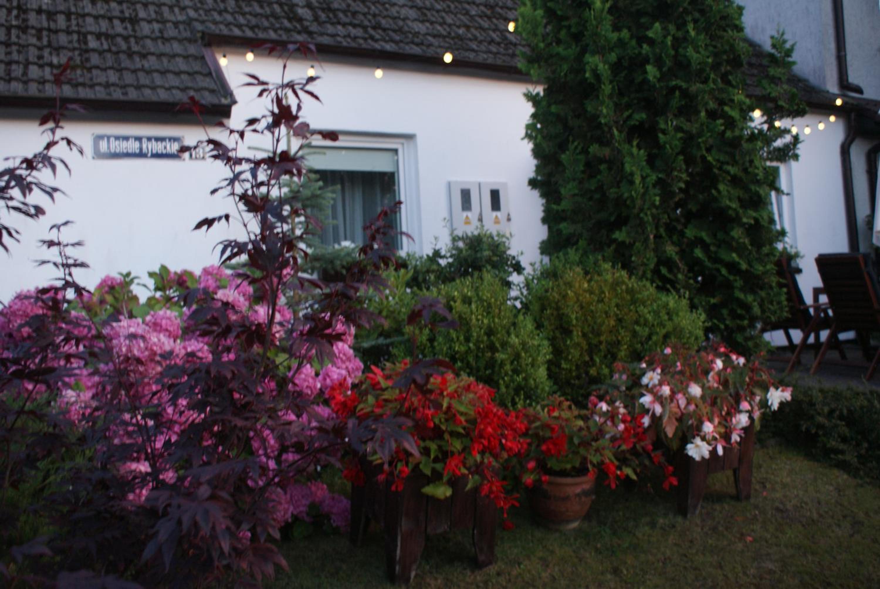 Photo 36