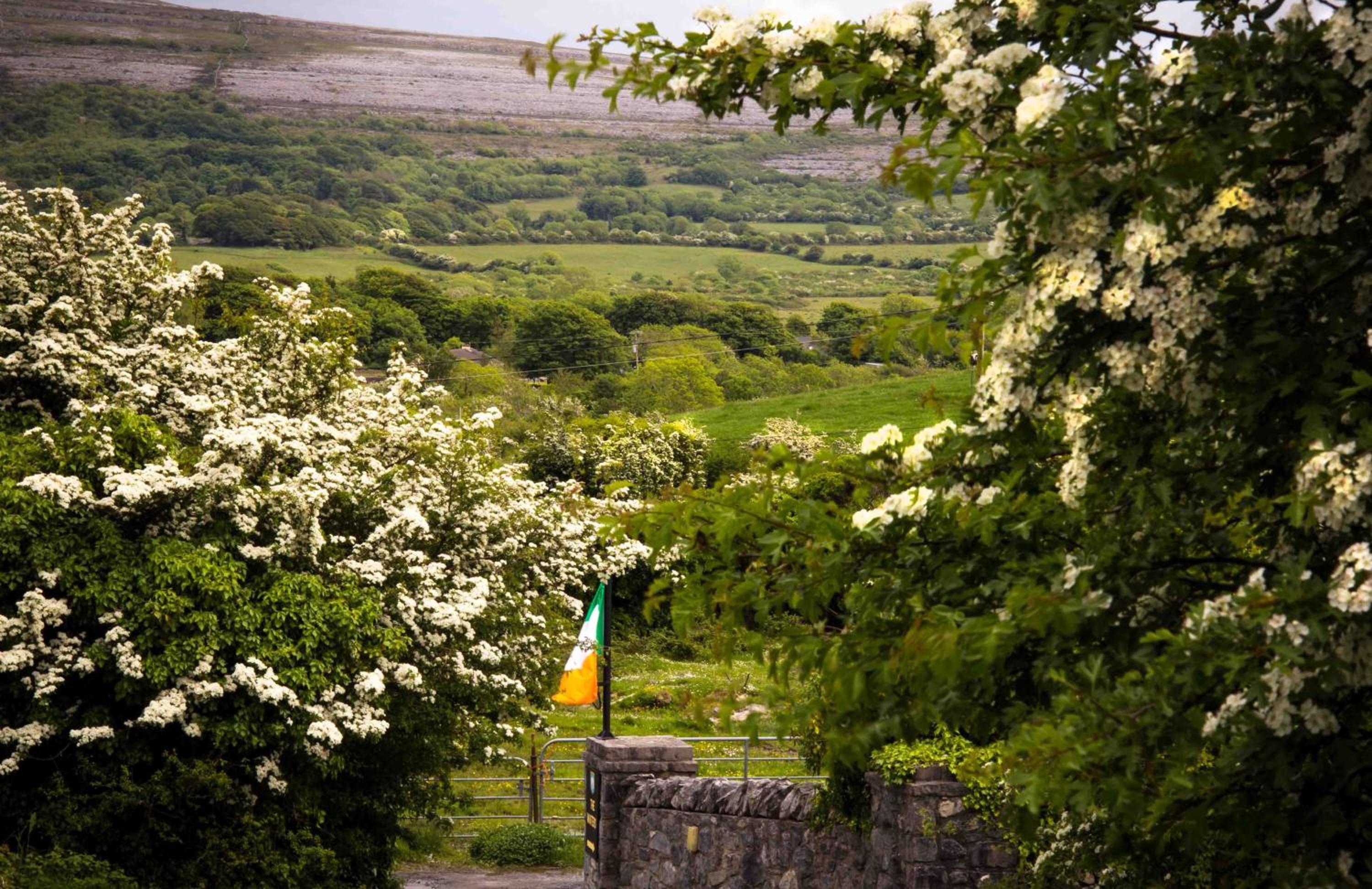 The Waters Country House