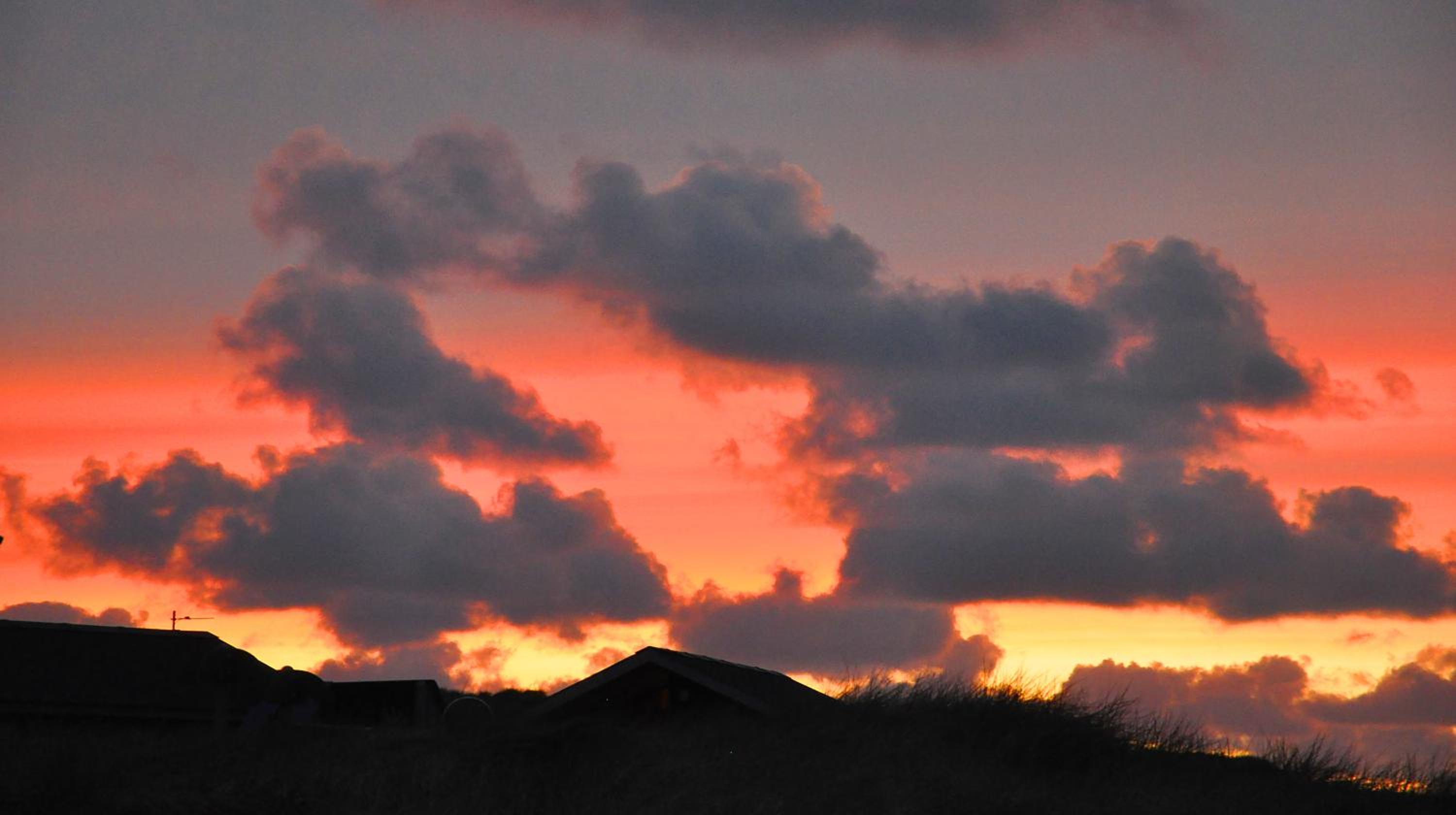 Dancamps Holmsland
