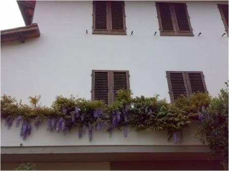 Tre Cipressi view 4