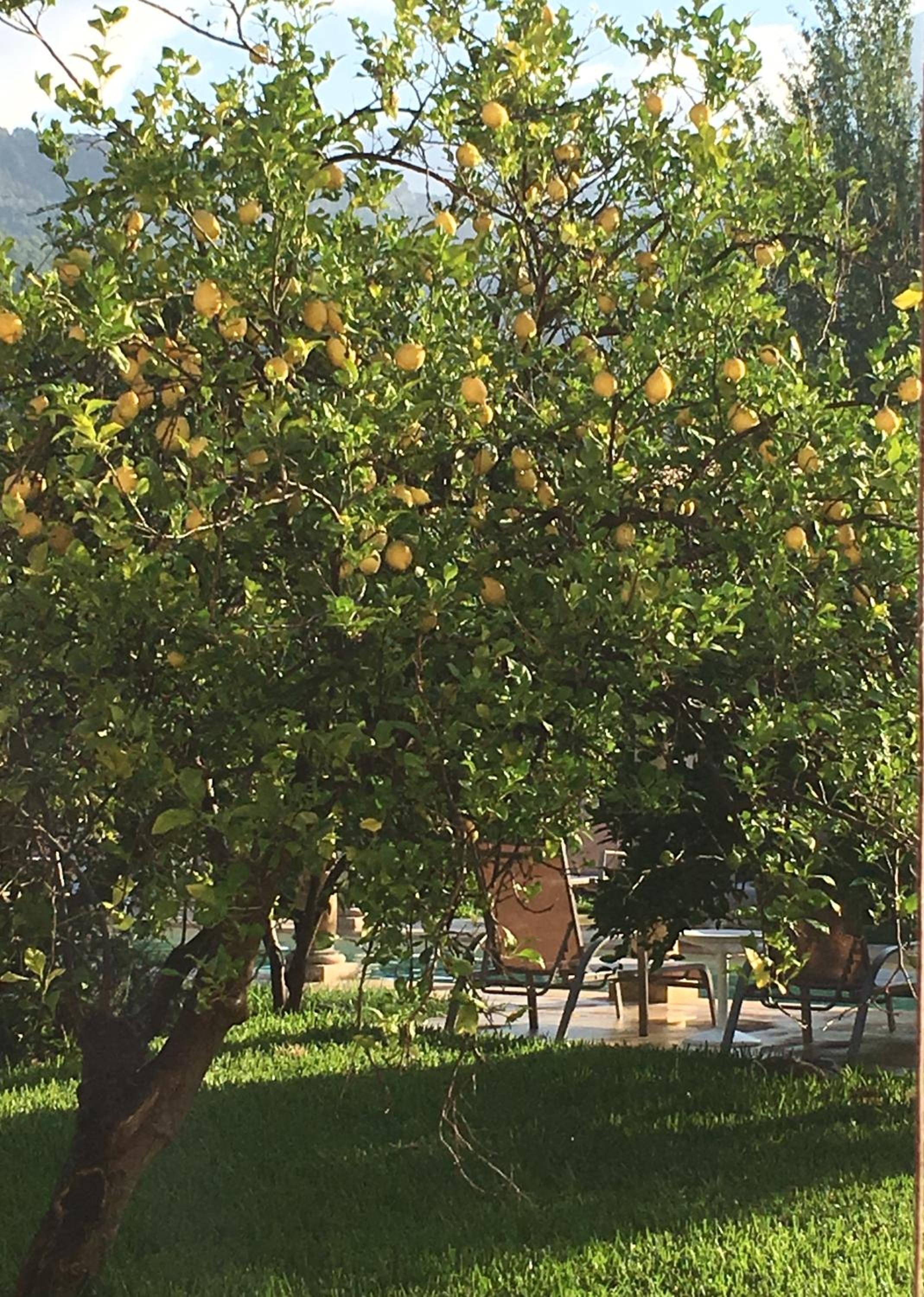 Finca Cas Sant