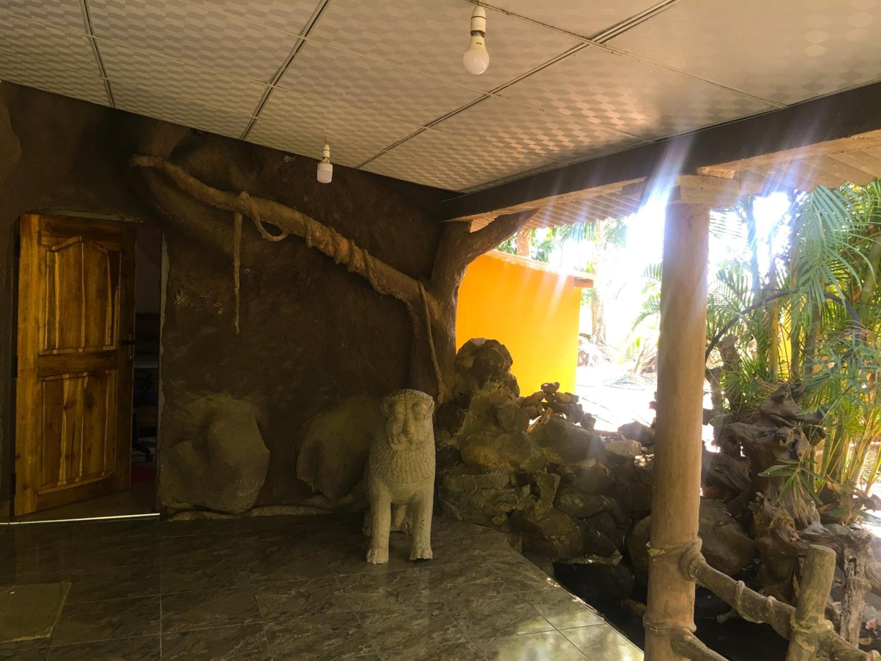 Photo 19