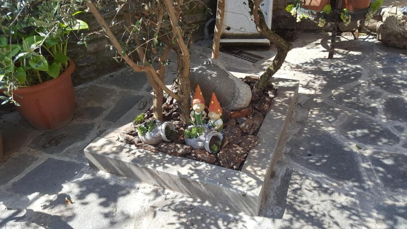 Apartamentos Cañardo Autural view 4