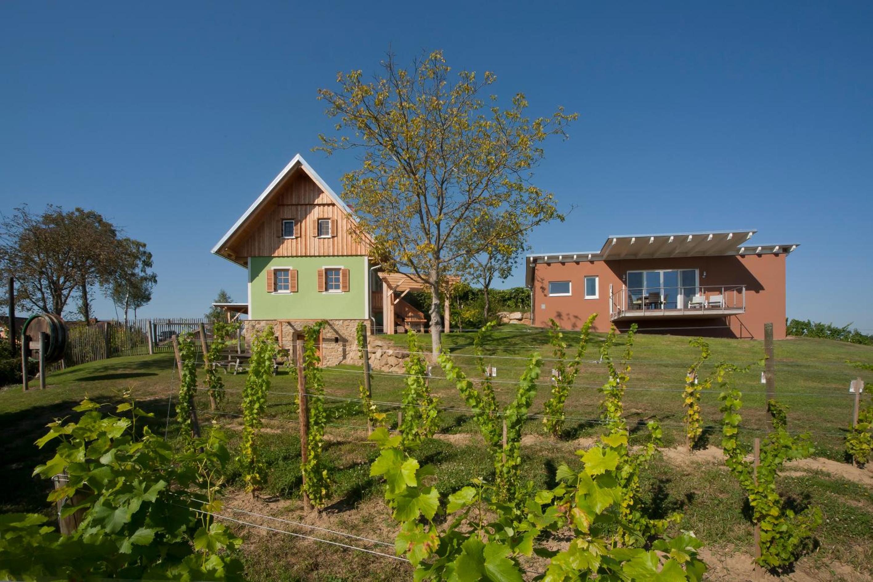 Ferienhäuser im Weingarten